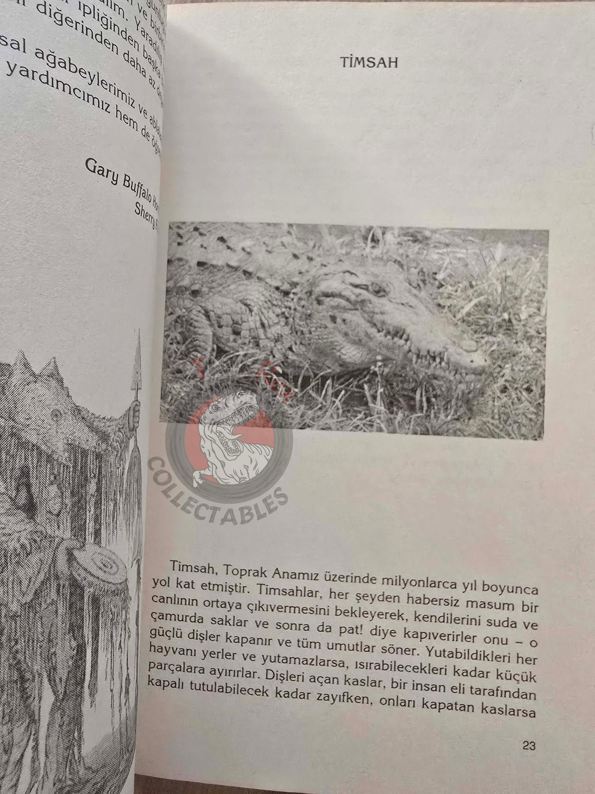 Gary Buffalo & Sherry Firedancer – Animal Energies: Interpreting 2007 Turkish Book Turkey