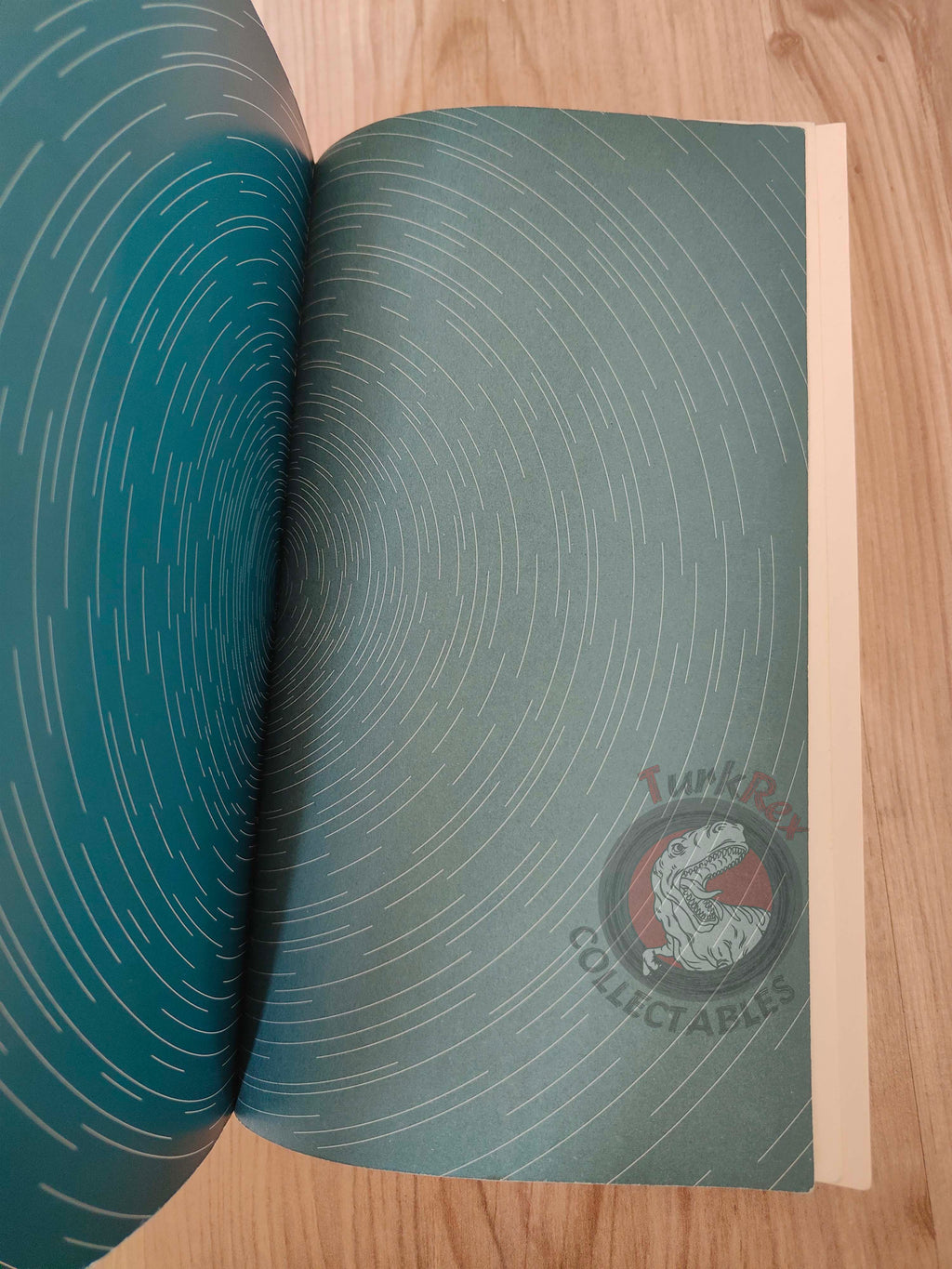 Robert Charles Wilson – Spin 2019 Turkish Book Turkey Spin Trilogy
