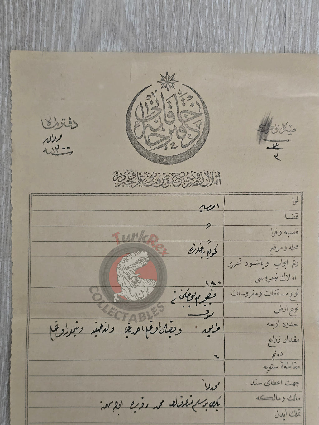 Ottoman 1879 Land Deed Garden in Amasya Göllü Title Deed