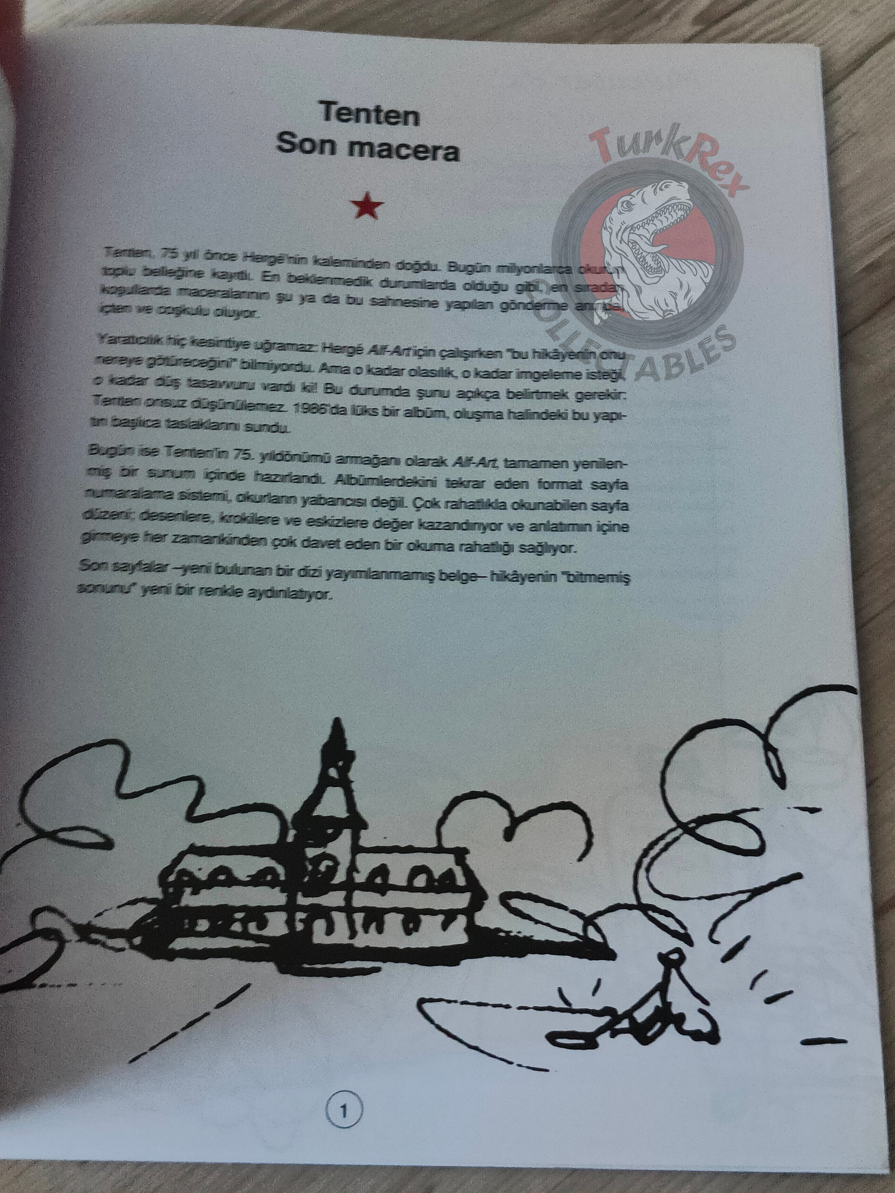 Tintin – Tintin and Alph-Art 2008 Turkish Edition Comic Turkey 1st İnkilap