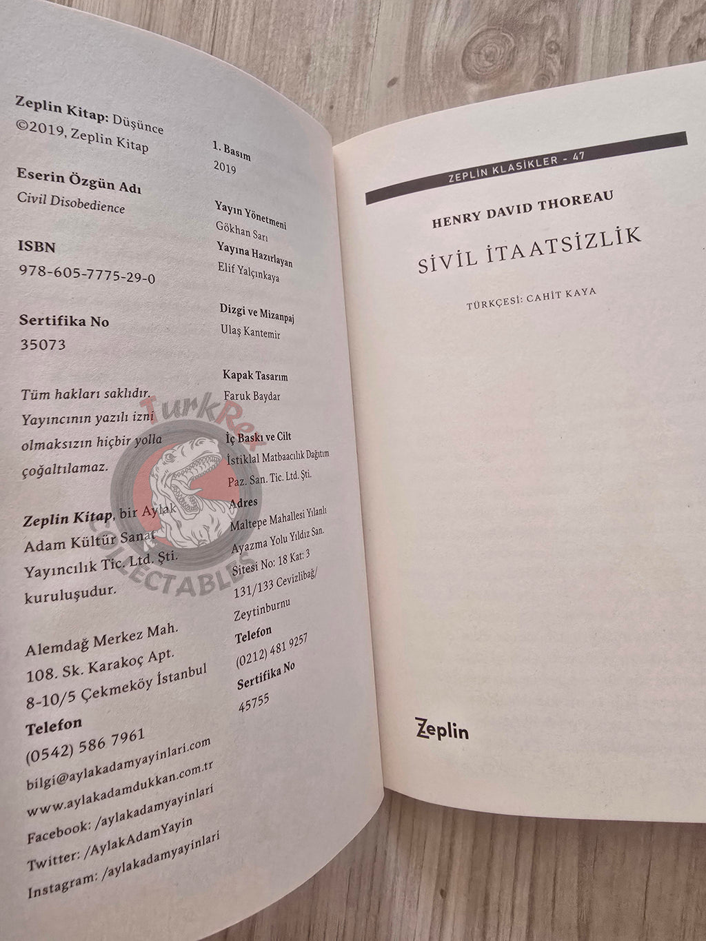 Henry David Thoreau – Civil Disobedience 2019 Turkish Book Turkey