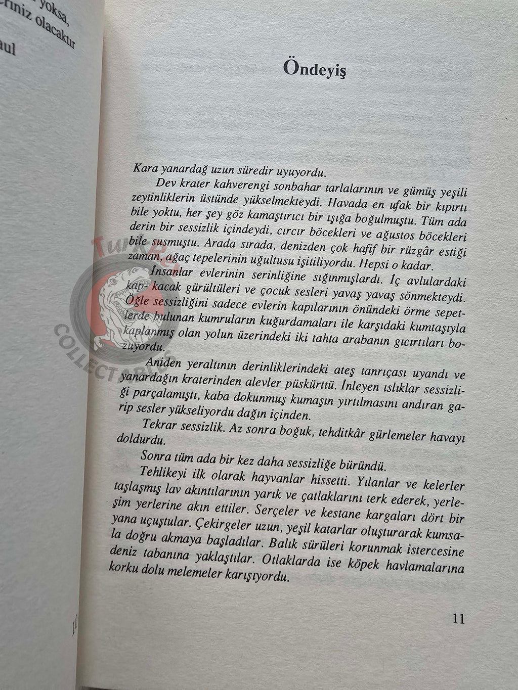 Brigitte Riebe – Palace of the Blue Dolphins  2004 Turkish Book Turkey