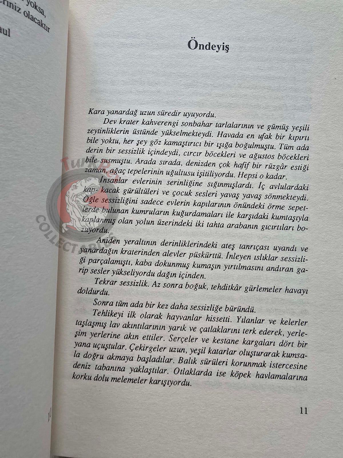 Brigitte Riebe – Palace of the Blue Dolphins  2004 Turkish Book Turkey