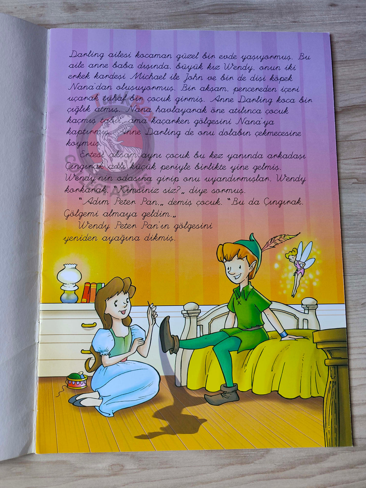 J. M. Barrie – Peter Pan 2009 Turkish Book Turkey Illustrated 2 Jesus Lopez Pastor