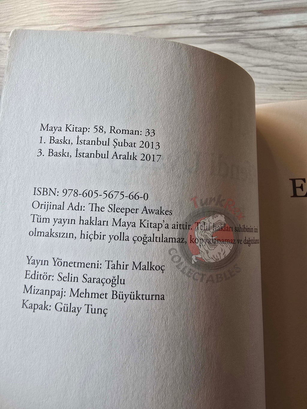 H. G. Wells – The Sleeper Awakes Turkish Book Turkey