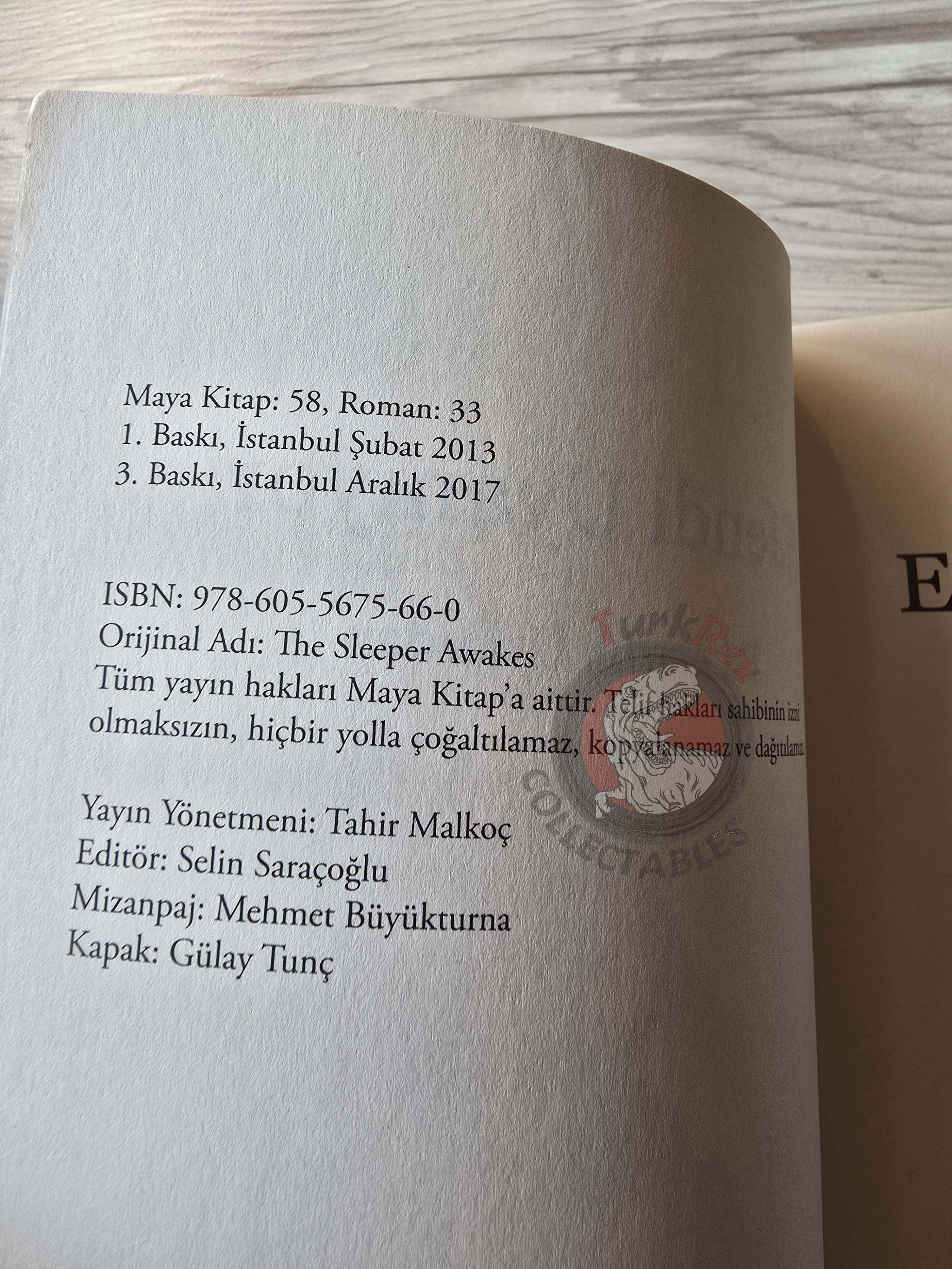 H. G. Wells – The Sleeper Awakes Turkish Book Turkey