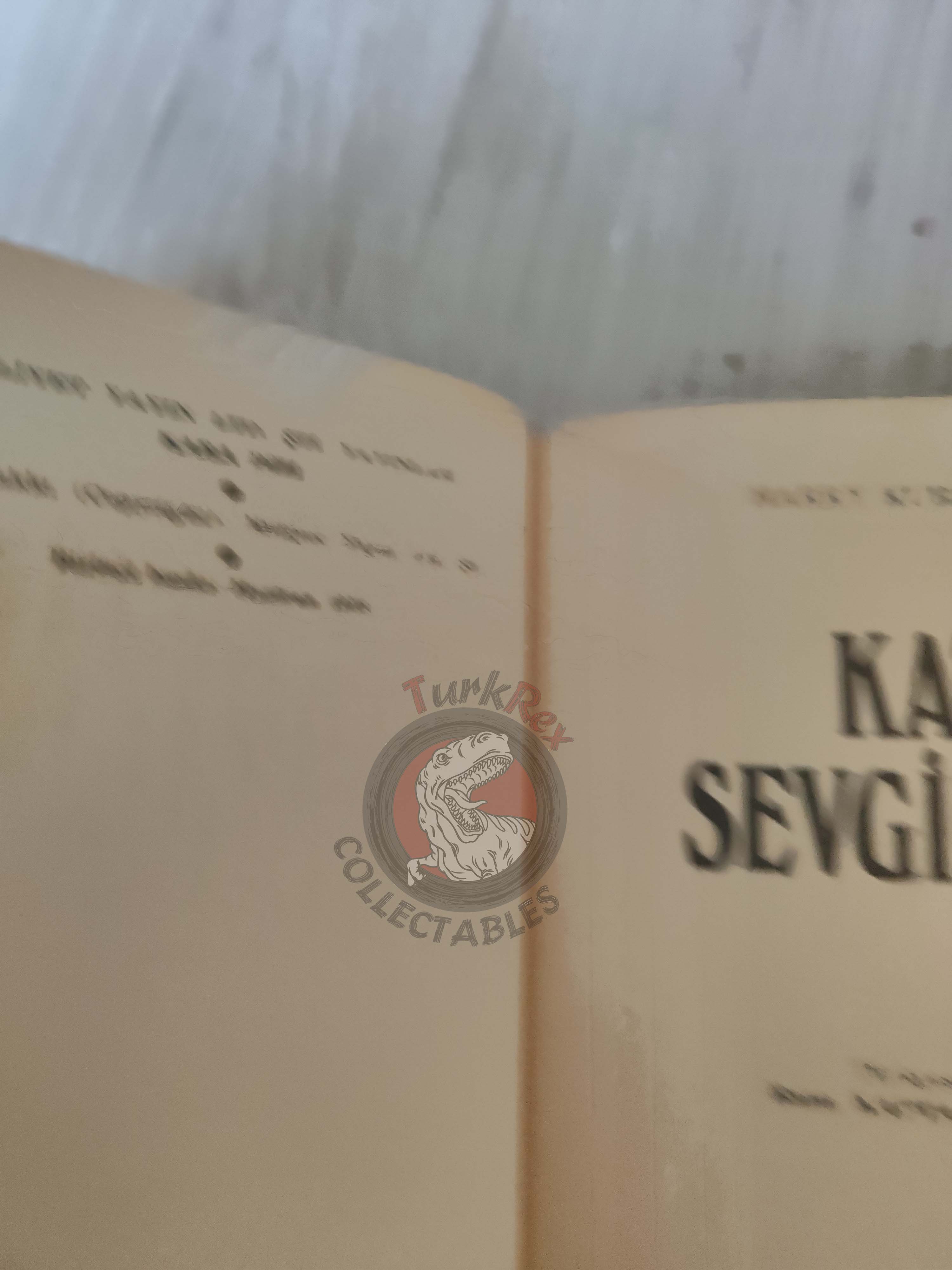 Harry Kurnitz – Invasion of Privacy 1973 1st Turkish Book Turkey
