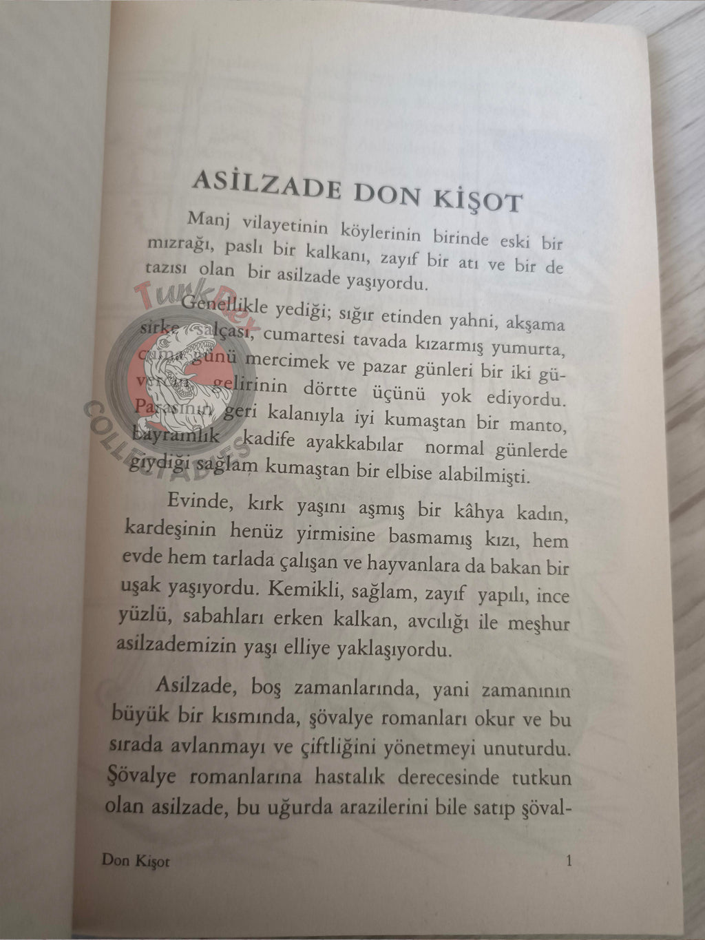 Miguel de Cervantes – Don Quixote 2003 Turkish Book Turkey Illustrated