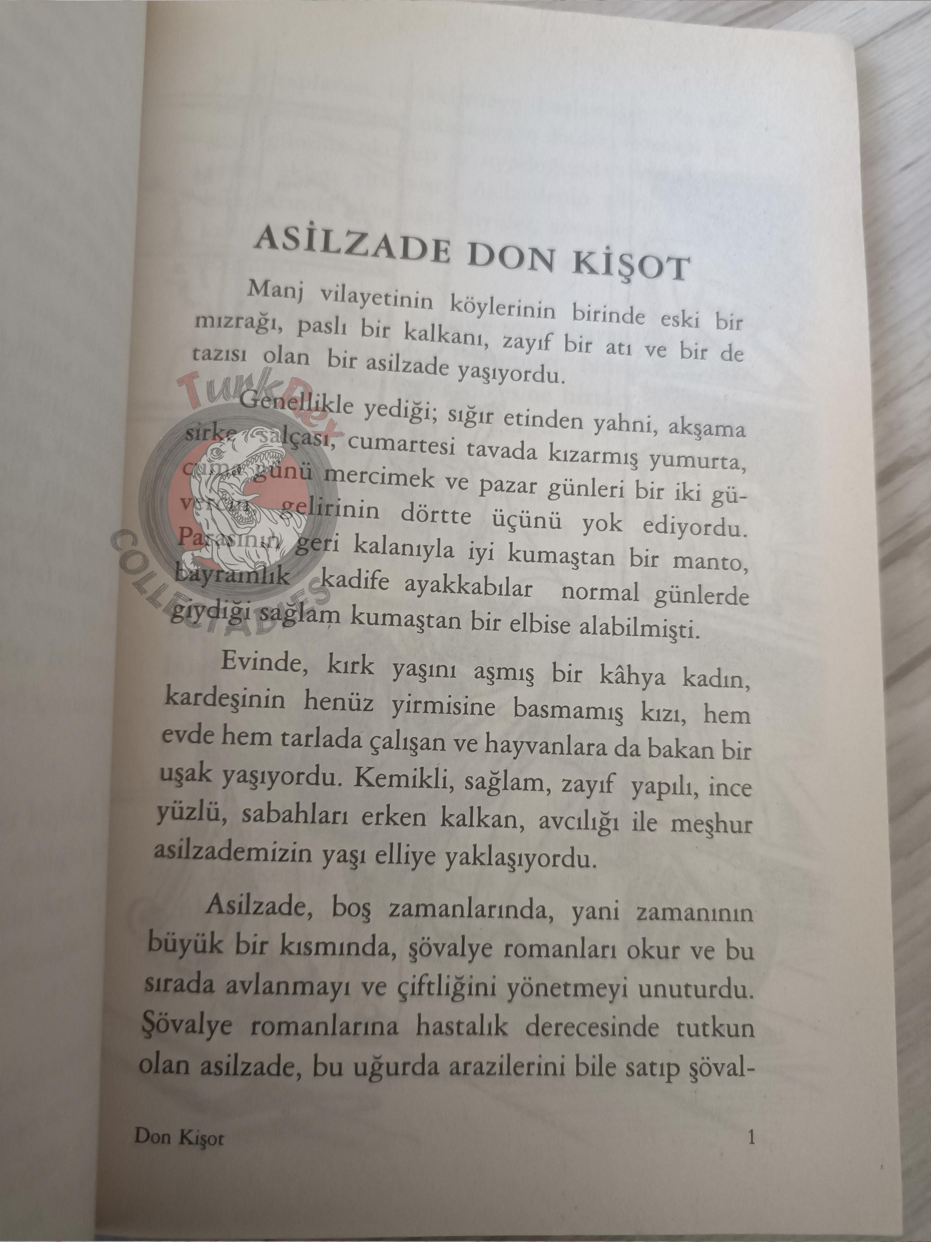 Miguel de Cervantes – Don Quixote 2003 Turkish Book Turkey Illustrated