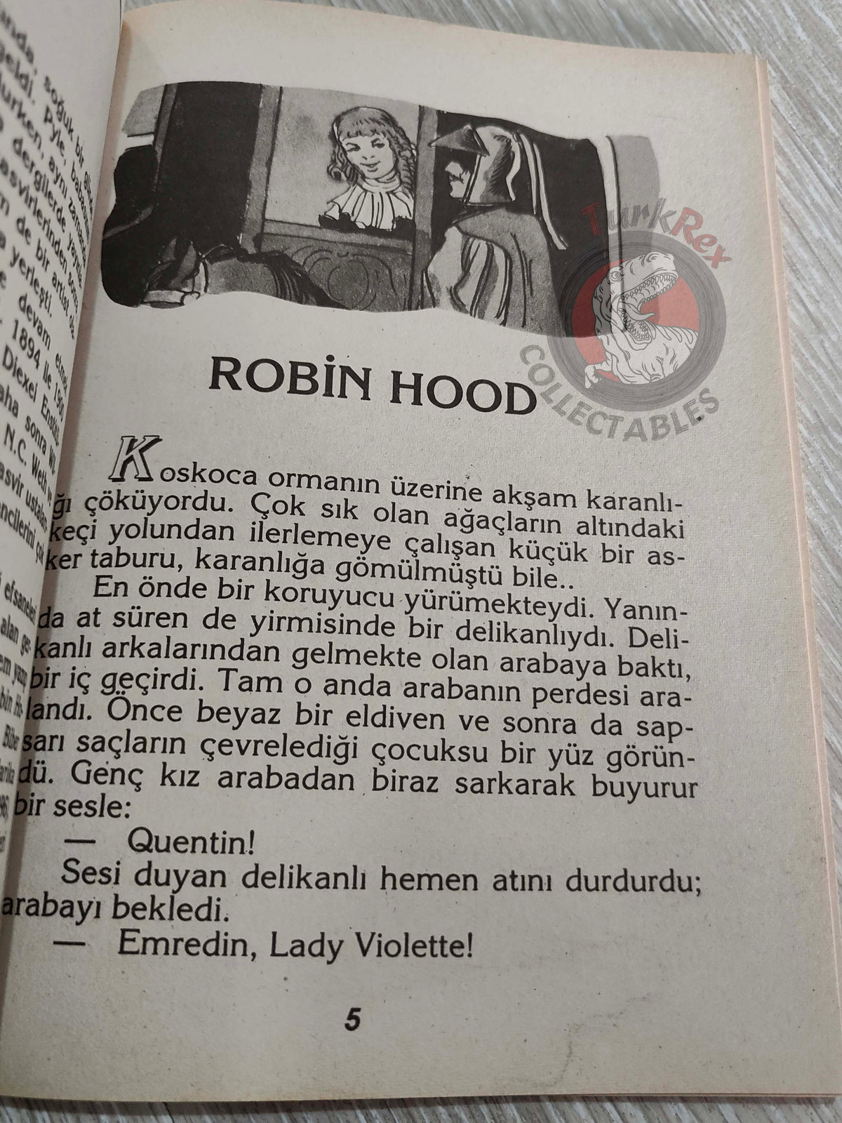 Robin Hood – Howard Pyle 1998 Turkish Book Turkey Illustrated