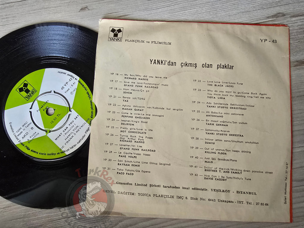 Hamilton, Joe Frank & Reynolds – Goin' Down 7" Turkish Pressing Vinyl Turkey Edition