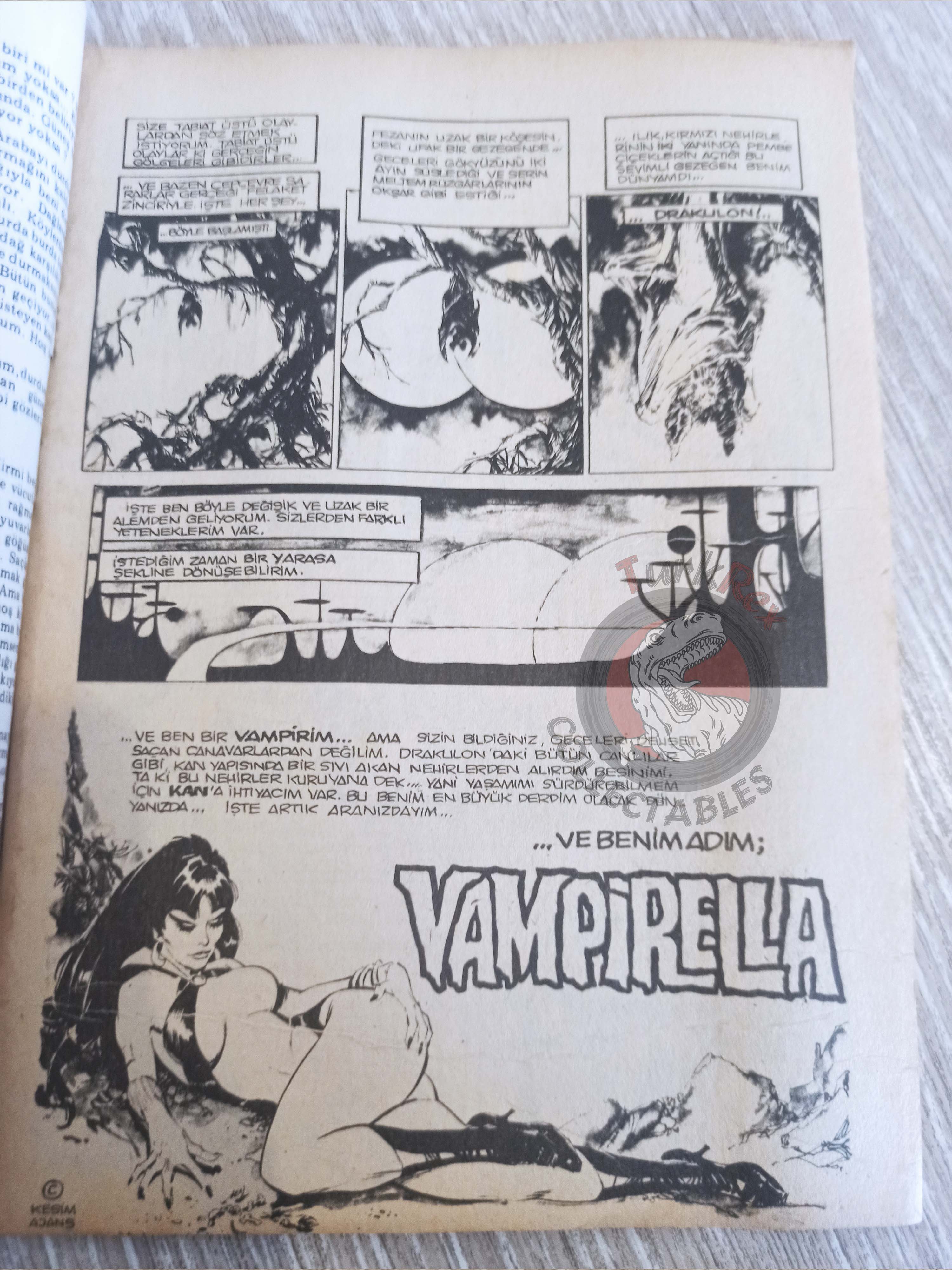 Vampirella #1 1976 Turkish Comic Turkey Warren Publishing cover #46 Dracula