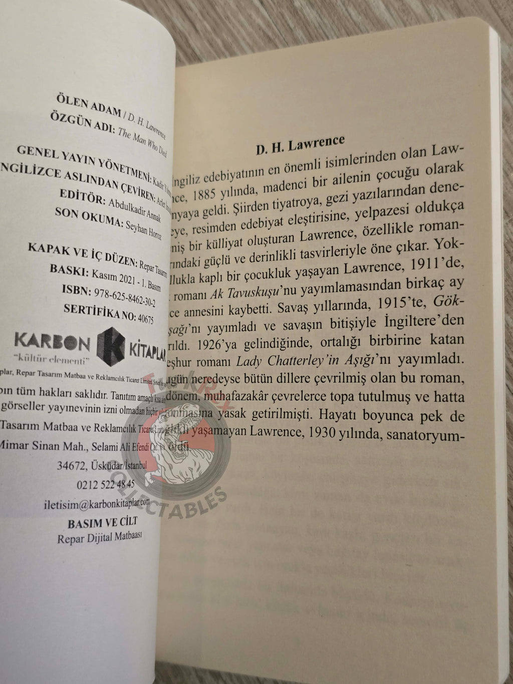 D. H. Lawrence – The Man Who Died 2021 Turkish Book Turkey