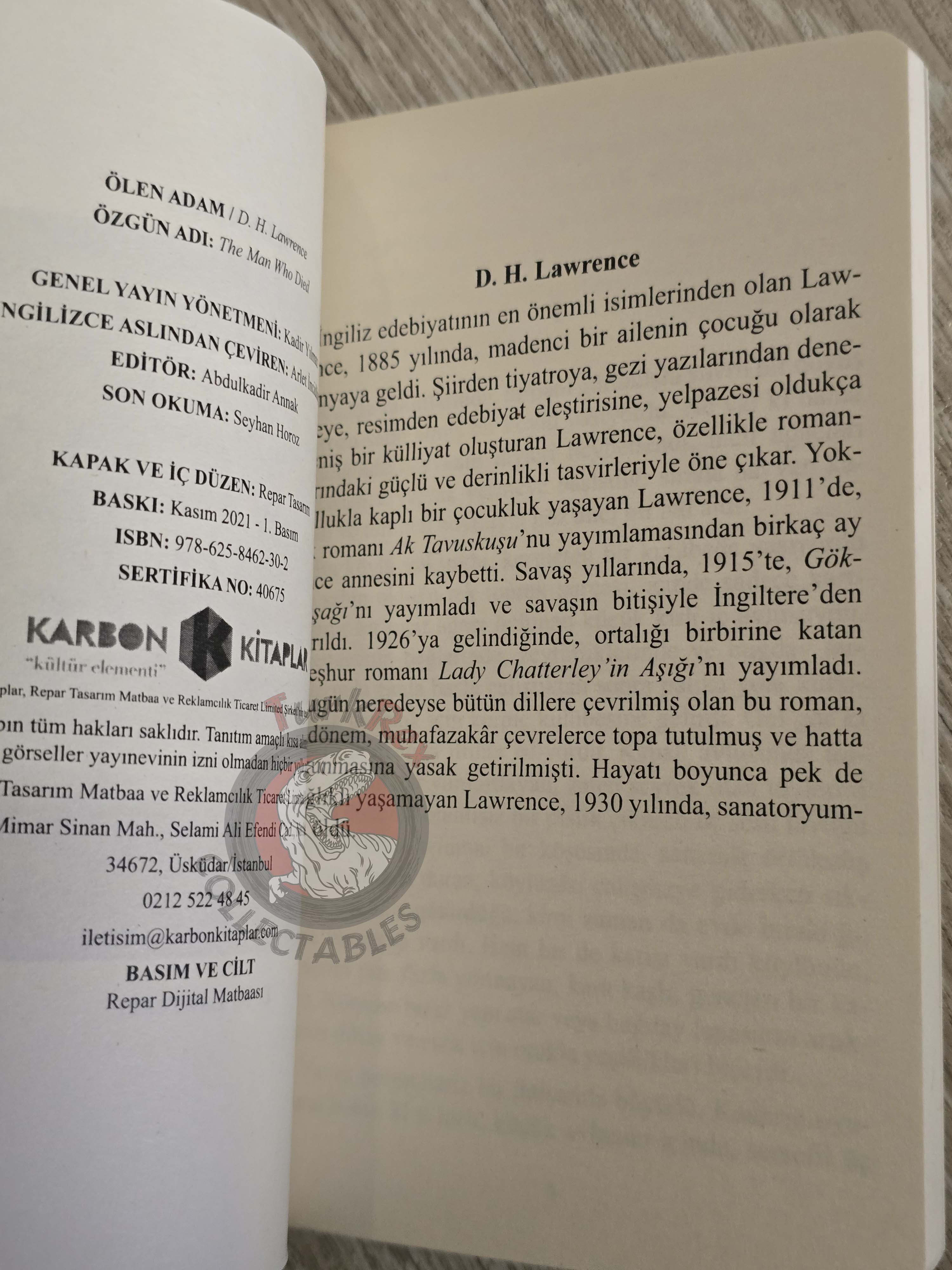 D. H. Lawrence – The Man Who Died 2021 Turkish Book Turkey