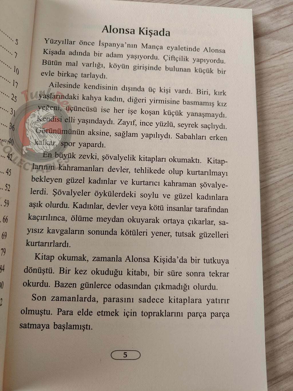 Miguel de Cervantes – Don Quixote 2007 Turkish Book Turkey Illustrated