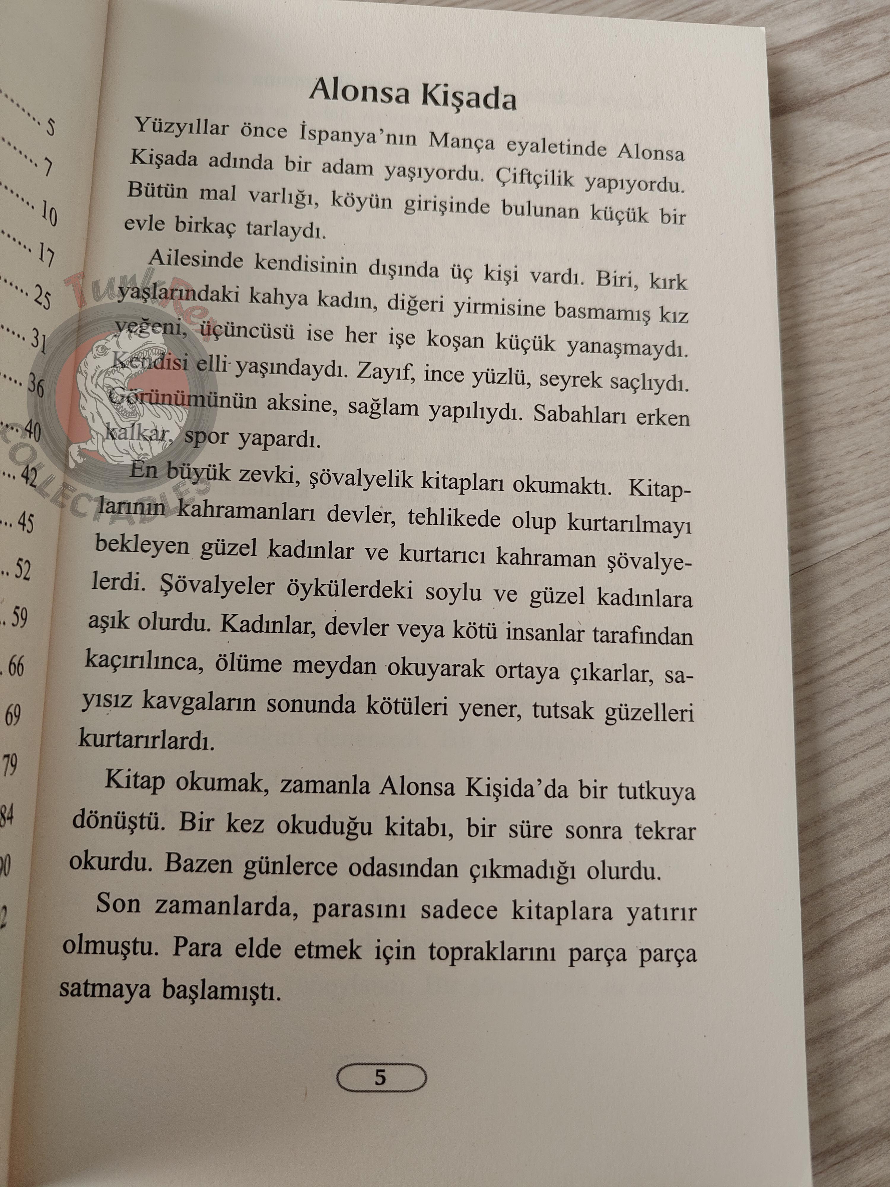 Miguel de Cervantes – Don Quixote 2007 Turkish Book Turkey Illustrated
