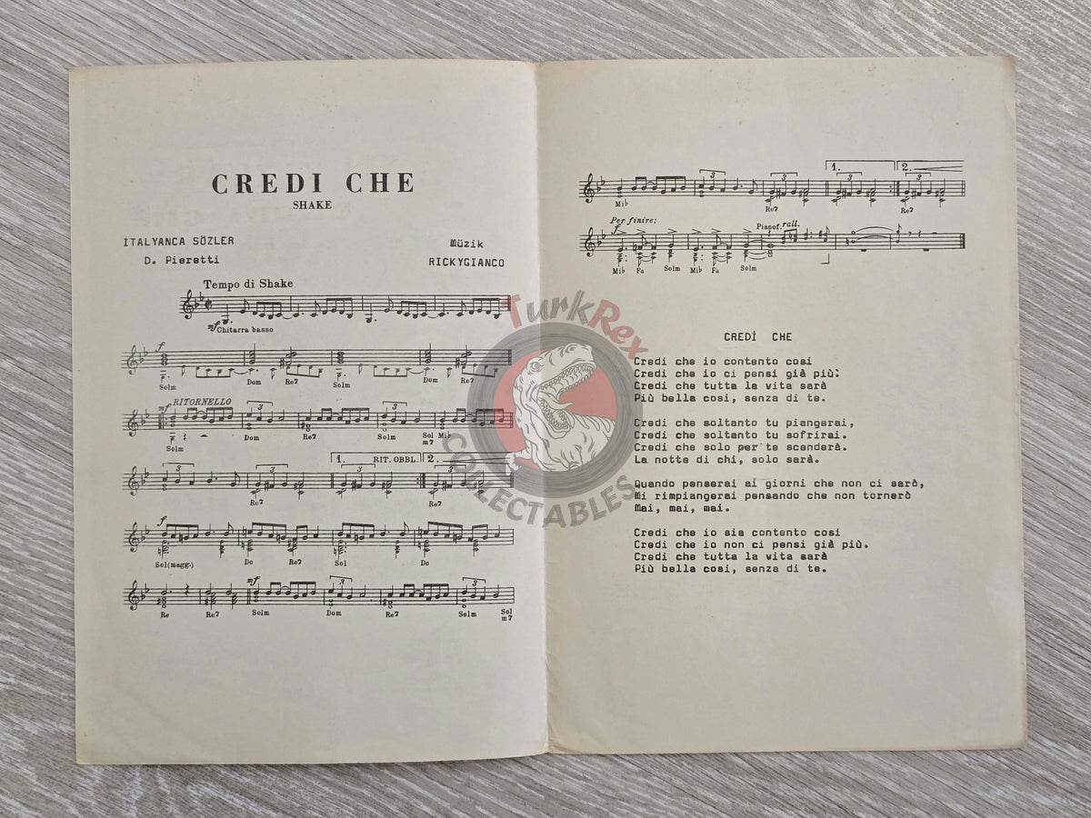 Ricky Gianco & Berkant – Credi Che Turkish Vintage Musical Notes Sheet Turkey