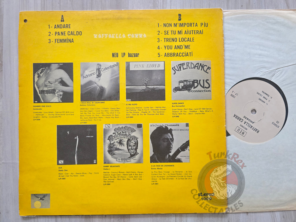 Raffaella Carrà – Andare Turkish Pressing Vinyl Turkey Edition