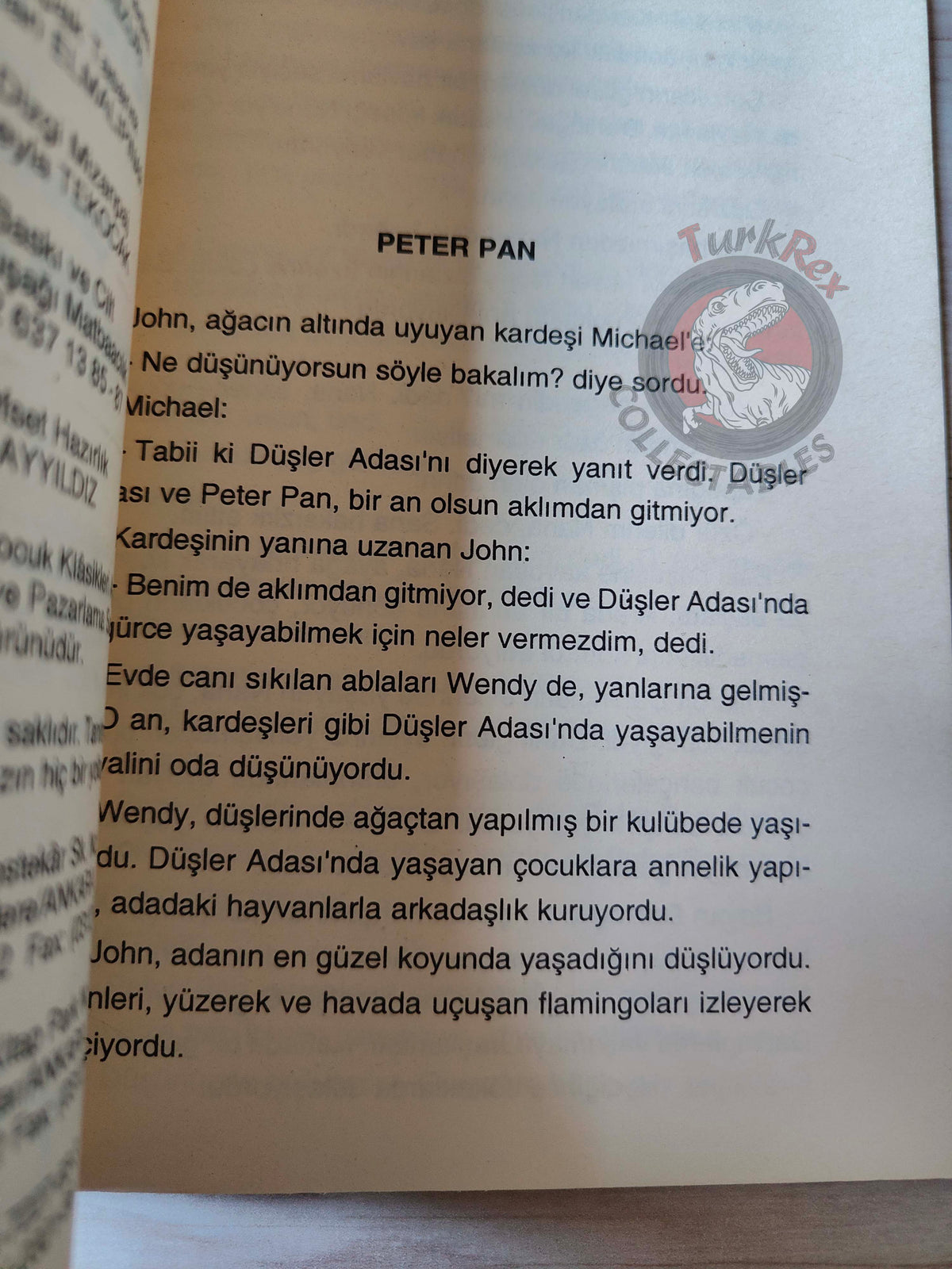 J. M. Barrie – Peter Pan 2001 Turkish Book Turkey Illustrated