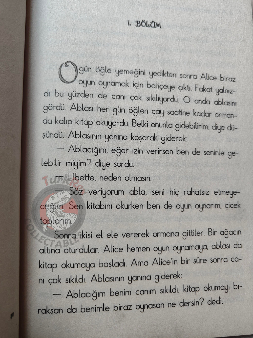 Lewis Carroll – Alice in Wonderland 2010 Turkish Book Turkey Illustrated 1