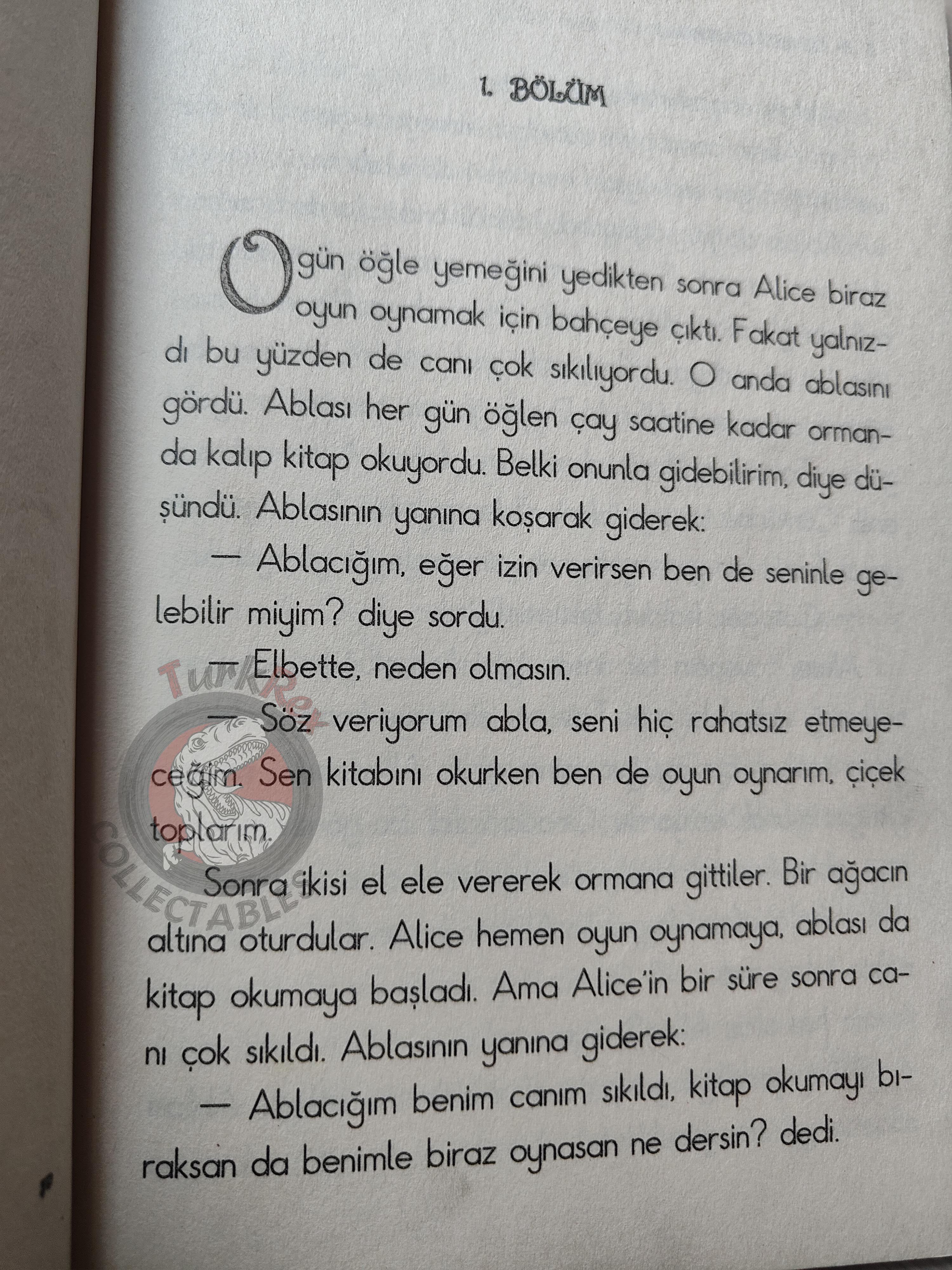 Lewis Carroll – Alice in Wonderland 2010 Turkish Book Turkey Illustrated 1