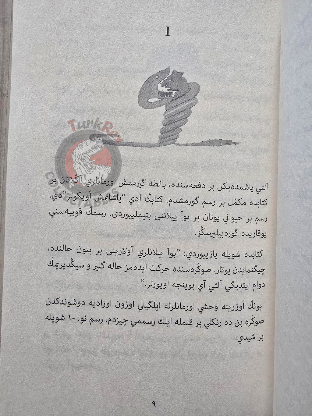Antoine de Saint-Exupéry – Le Petit Prince 2017 Ottoman Turkish Book Turkey Illustrated Little 1