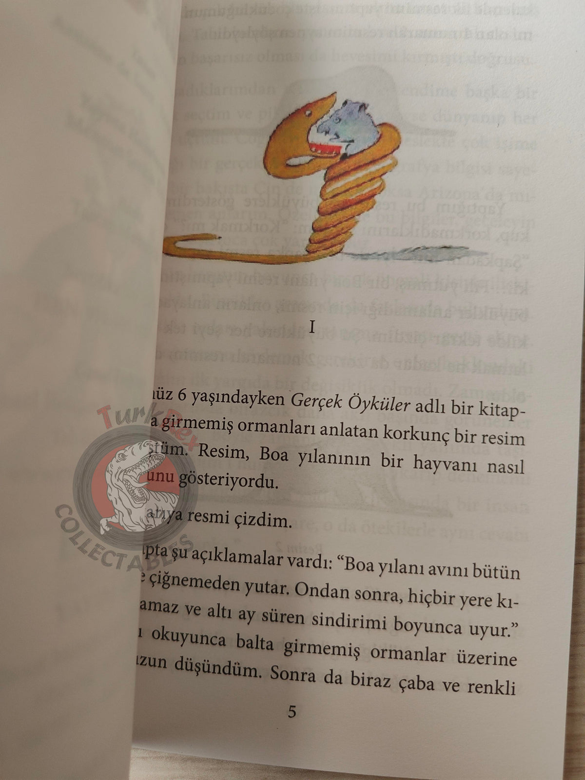Antoine de Saint-Exupéry – Le Petit Prince 2015 Turkish Book Turkey Illustrated Little 6