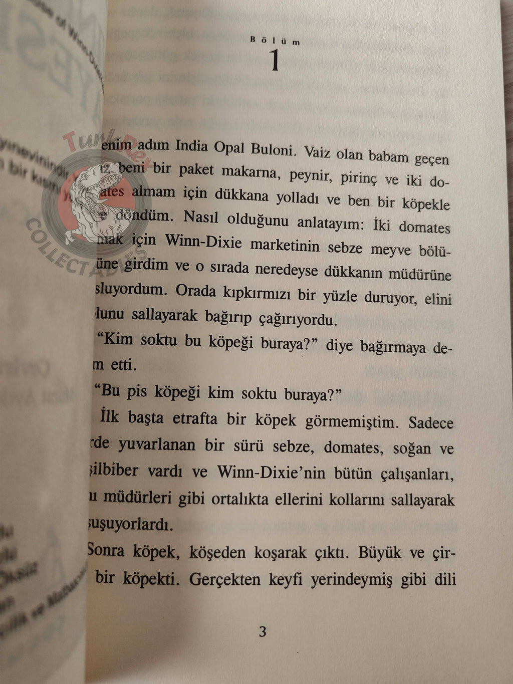 Kate DiCamillo – Because of Winn-Dixie 2005 Turkish Book Turkey