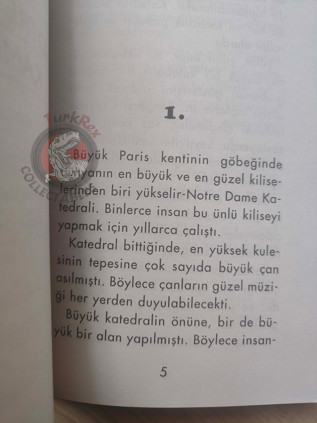 Victor Hugo – The Hunchback of Notre-Dame 2011 Illustrated Turkish Book Turkey
