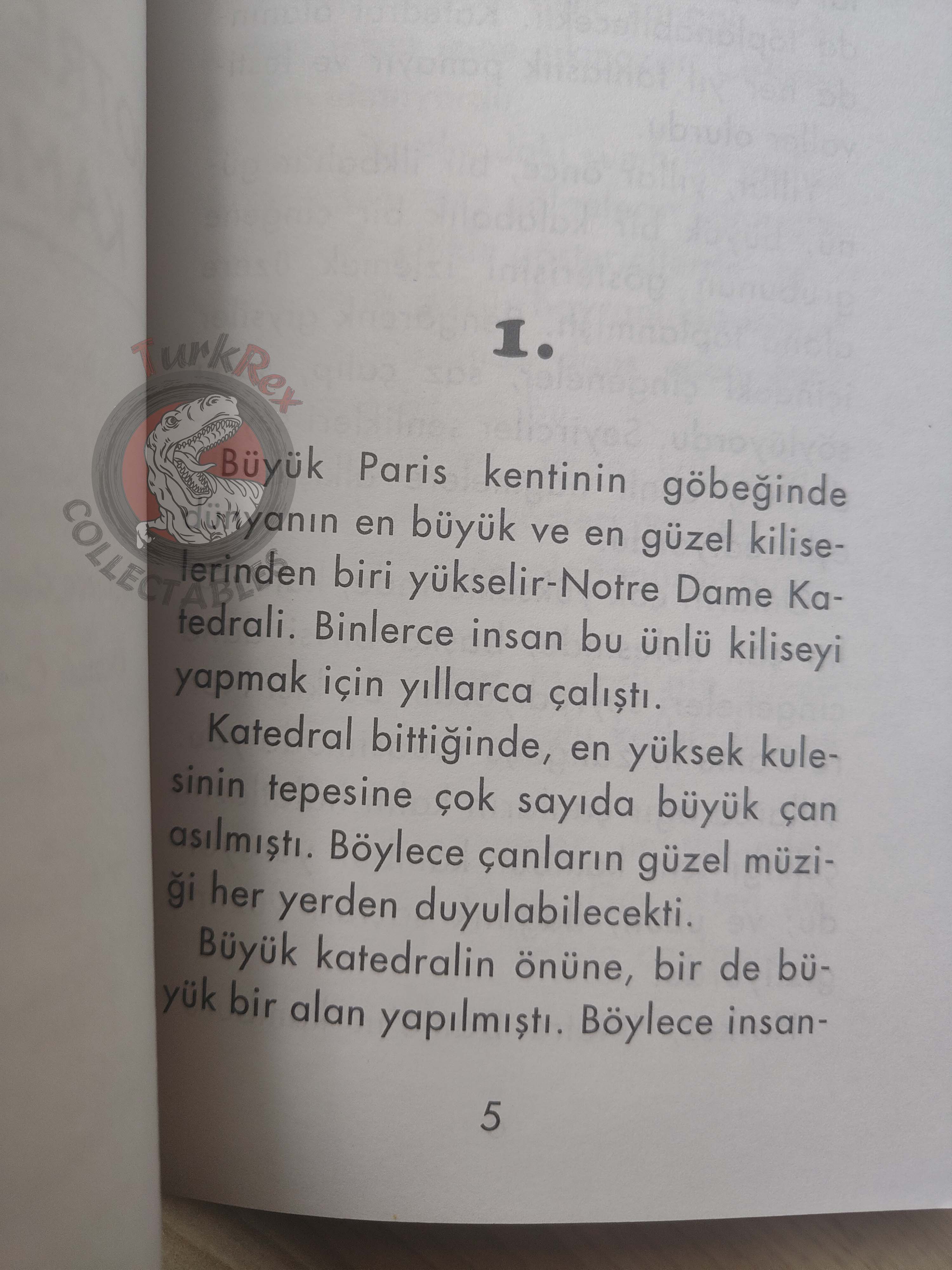 Victor Hugo – The Hunchback of Notre-Dame 2011 Illustrated Turkish Book Turkey