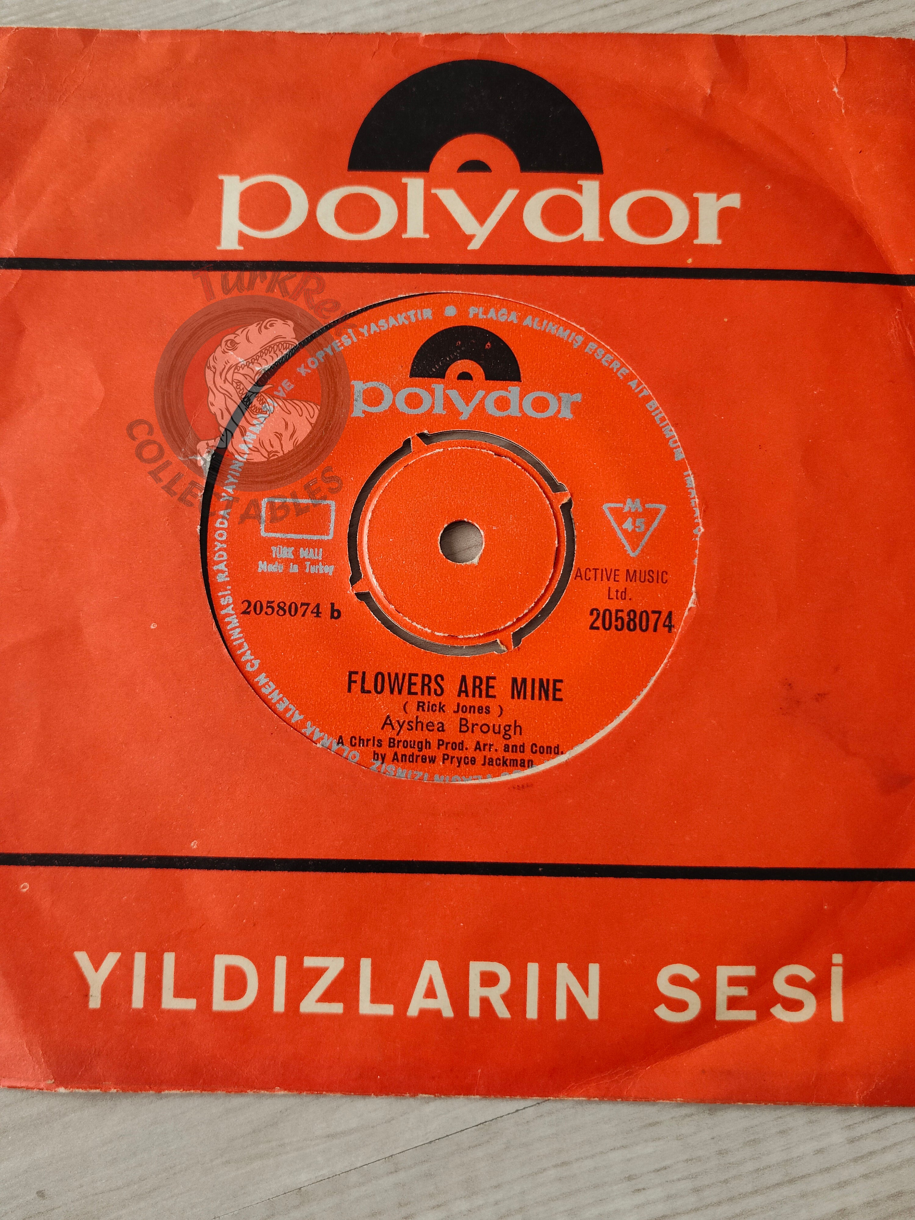 Ayshea Brough – Who's Gonna Rescue Jesus? 7" Turkish Pressing Vinyl Turkey Edition