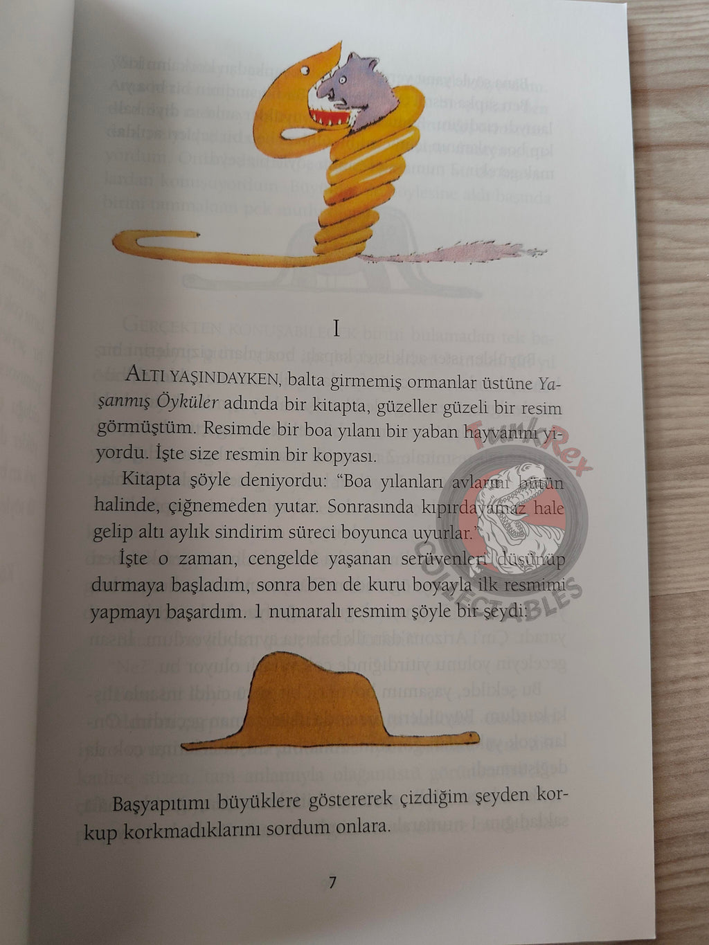 Antoine de Saint-Exupéry – Le Petit Prince 2015 Turkish Book Turkey Illustrated Little 3