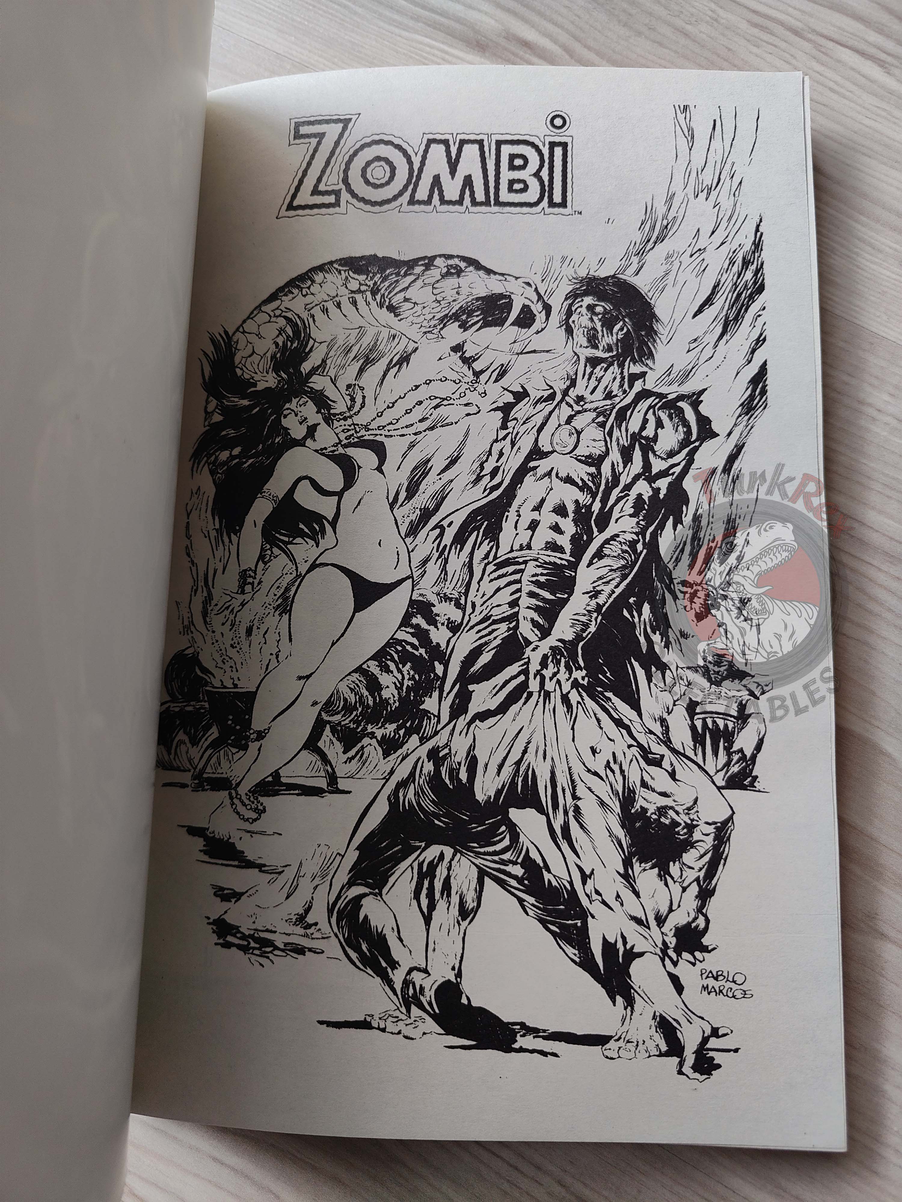 Tales of the Zombie Issue #1 to #9 2010 Turkish Comic Turkey Essential