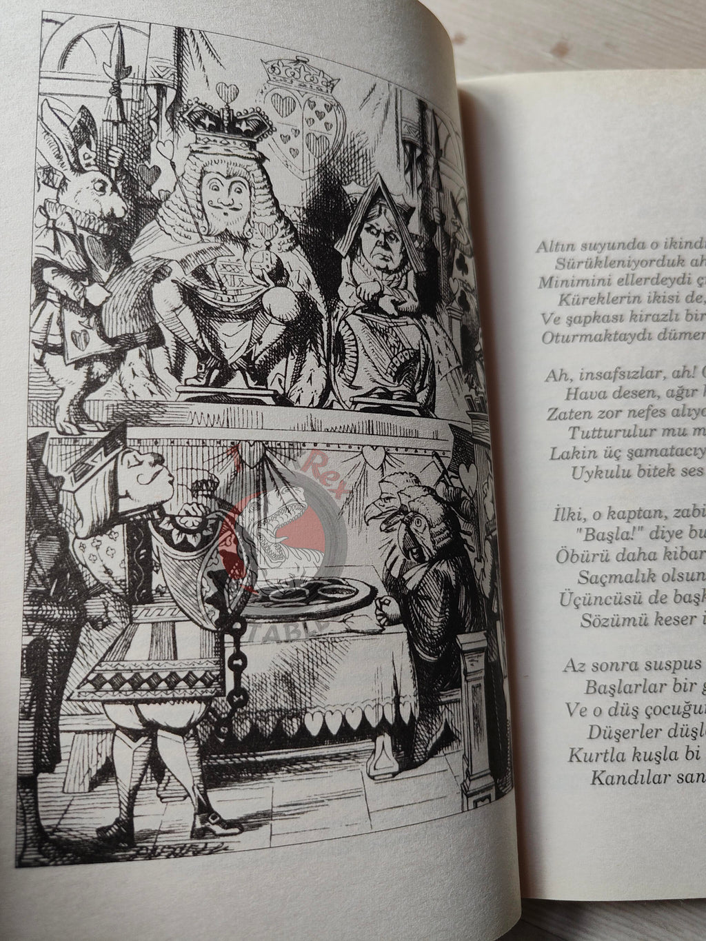 Lewis Carroll – Alice in Wonderland 2008 Turkish Book Turkey Illustrated John Tenniel