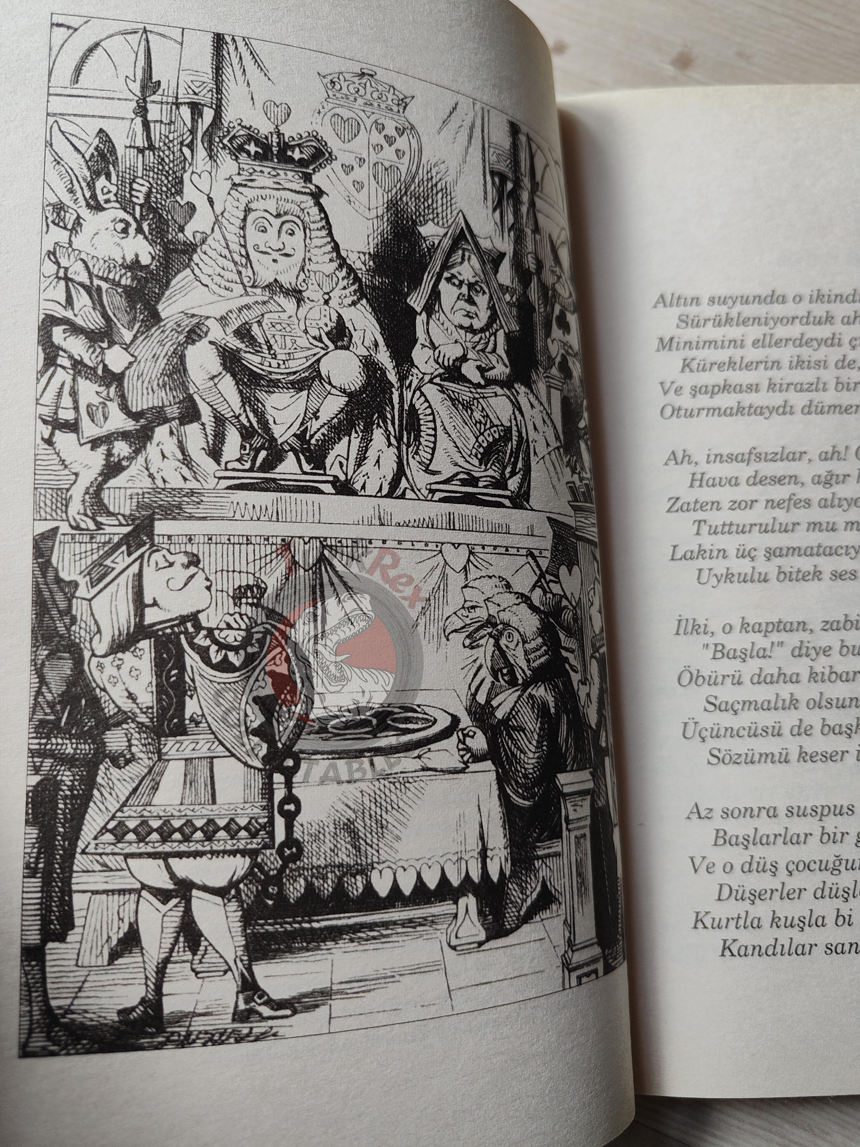 Lewis Carroll – Alice in Wonderland 2008 Turkish Book Turkey Illustrated John Tenniel