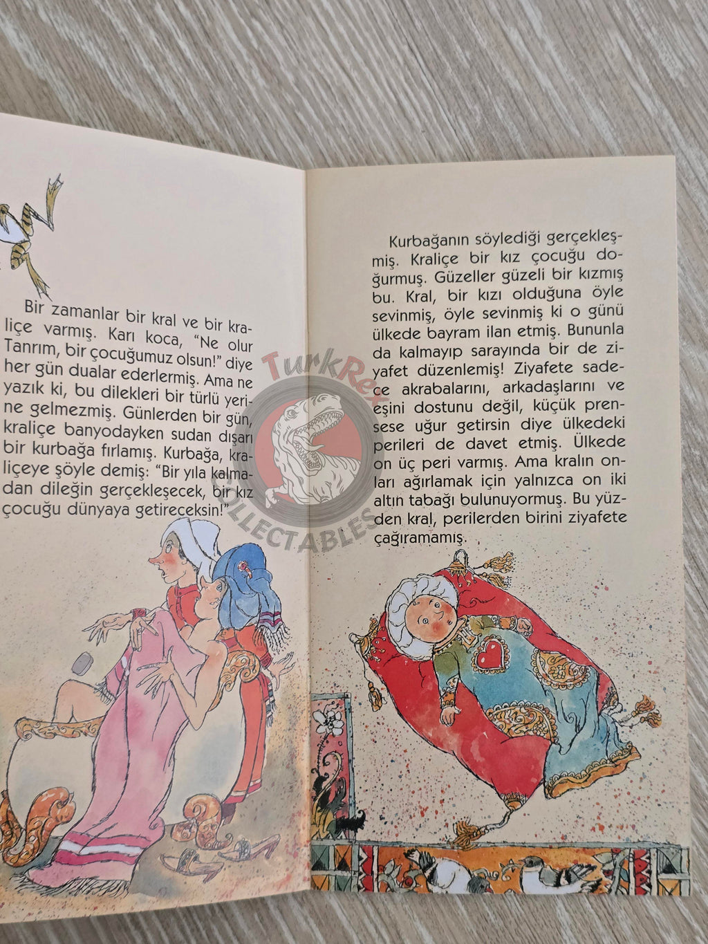 Grimm Brothers –  Sleeping Beauty 2011 Turkish Book Turkey Illustrated