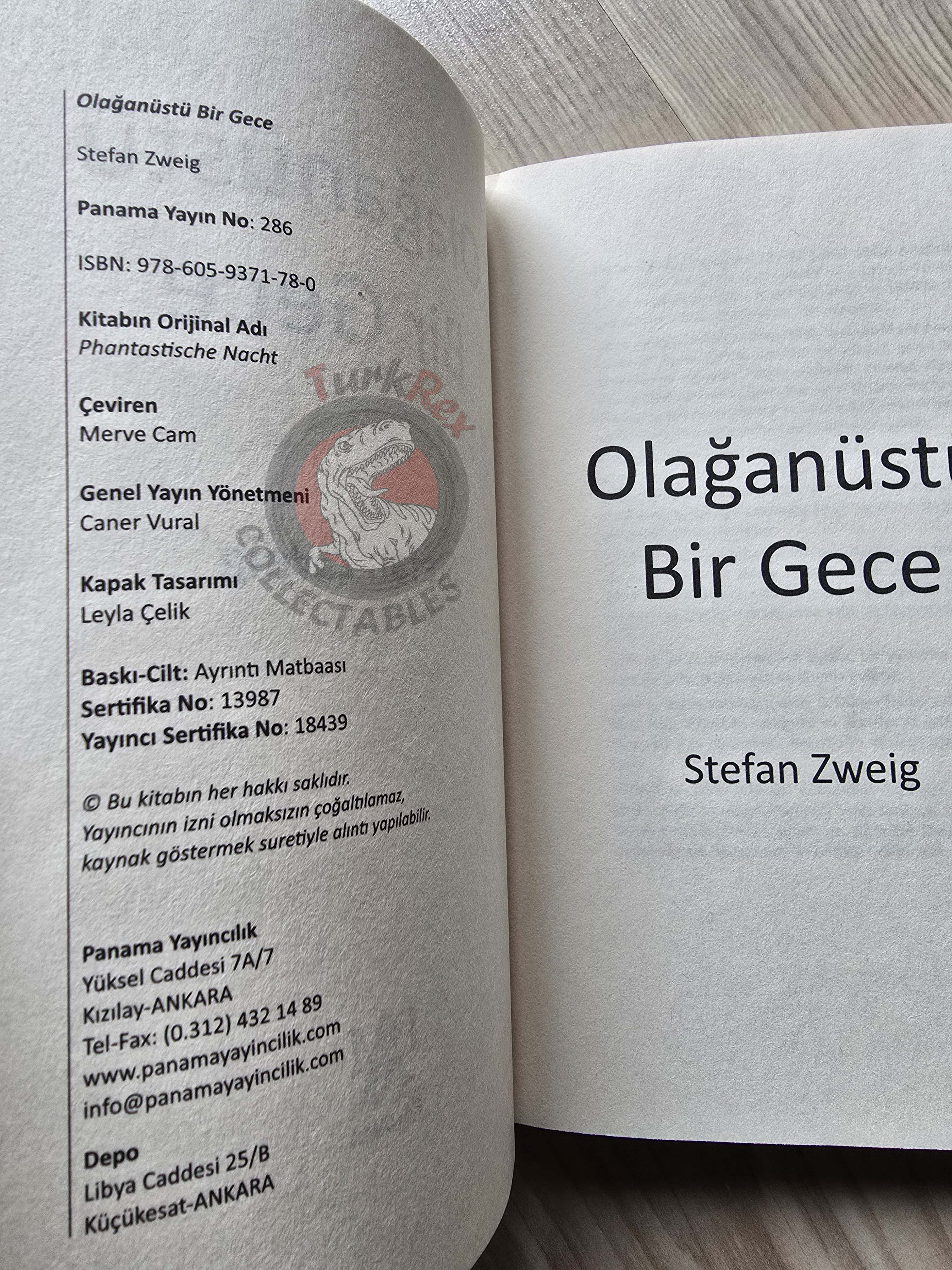 Stefan Zweig – Fantastic Night Turkish Book Turkey