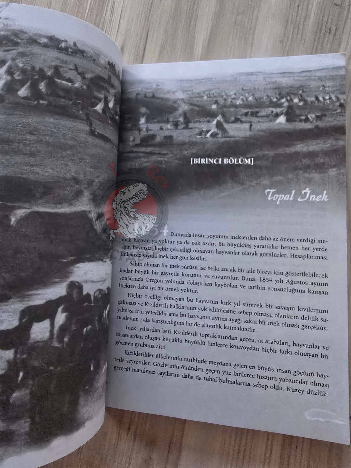 Michael Blake – Indian Yell 2008 1st Turkish Book Turkey