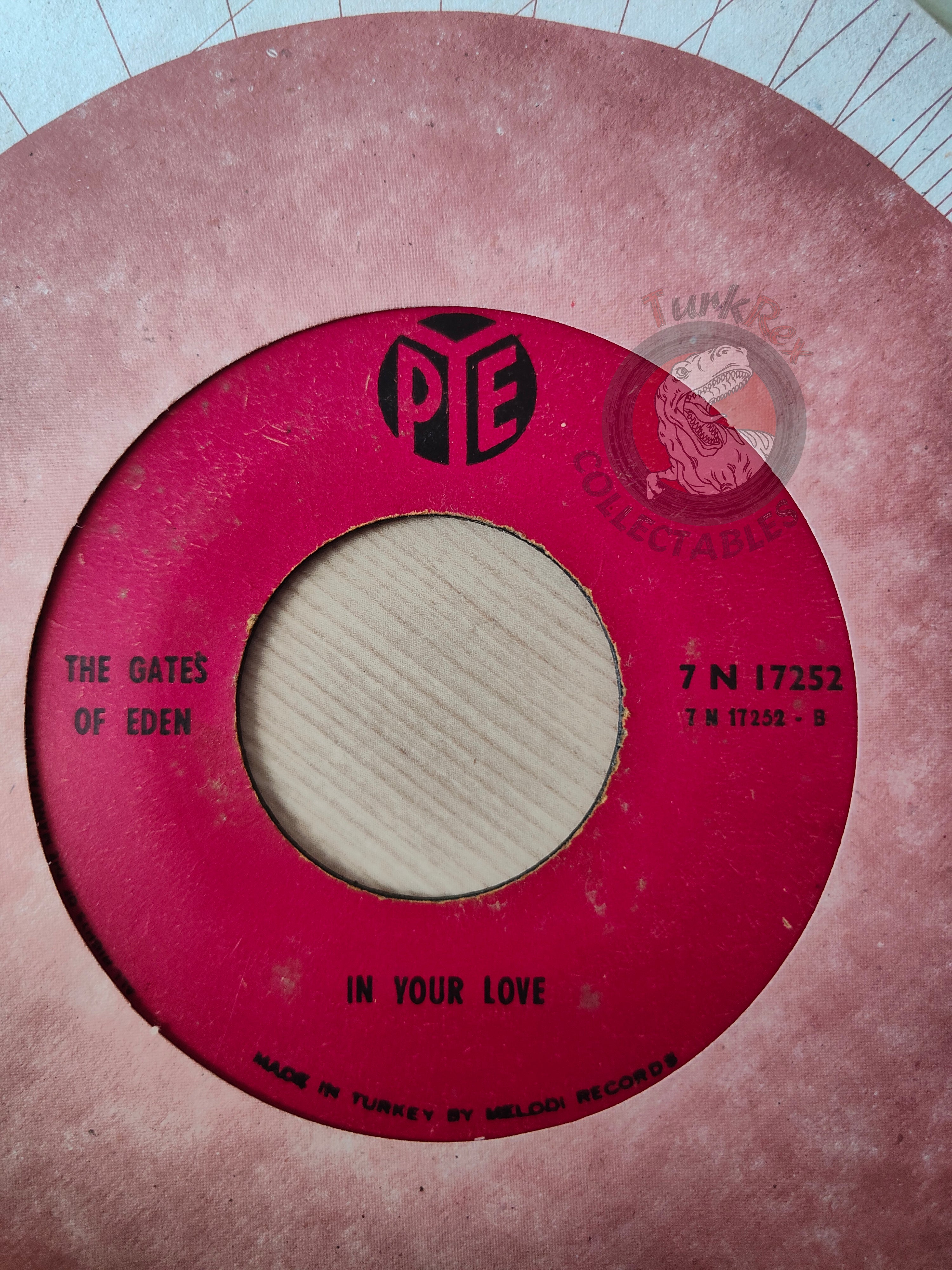The Gates of Eden – Snoopy vs. The Red Baron 7" Turkish Pressing Vinyl Turkey Edition