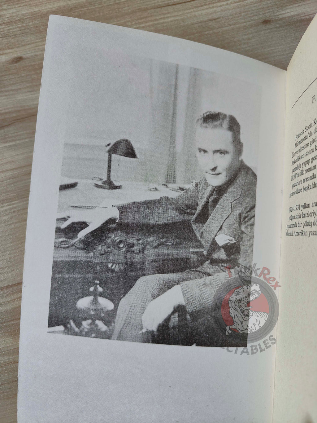 F. Scott Fitzgerald   – May Day / Tales of the Jazz Age Turkish Book Turkey