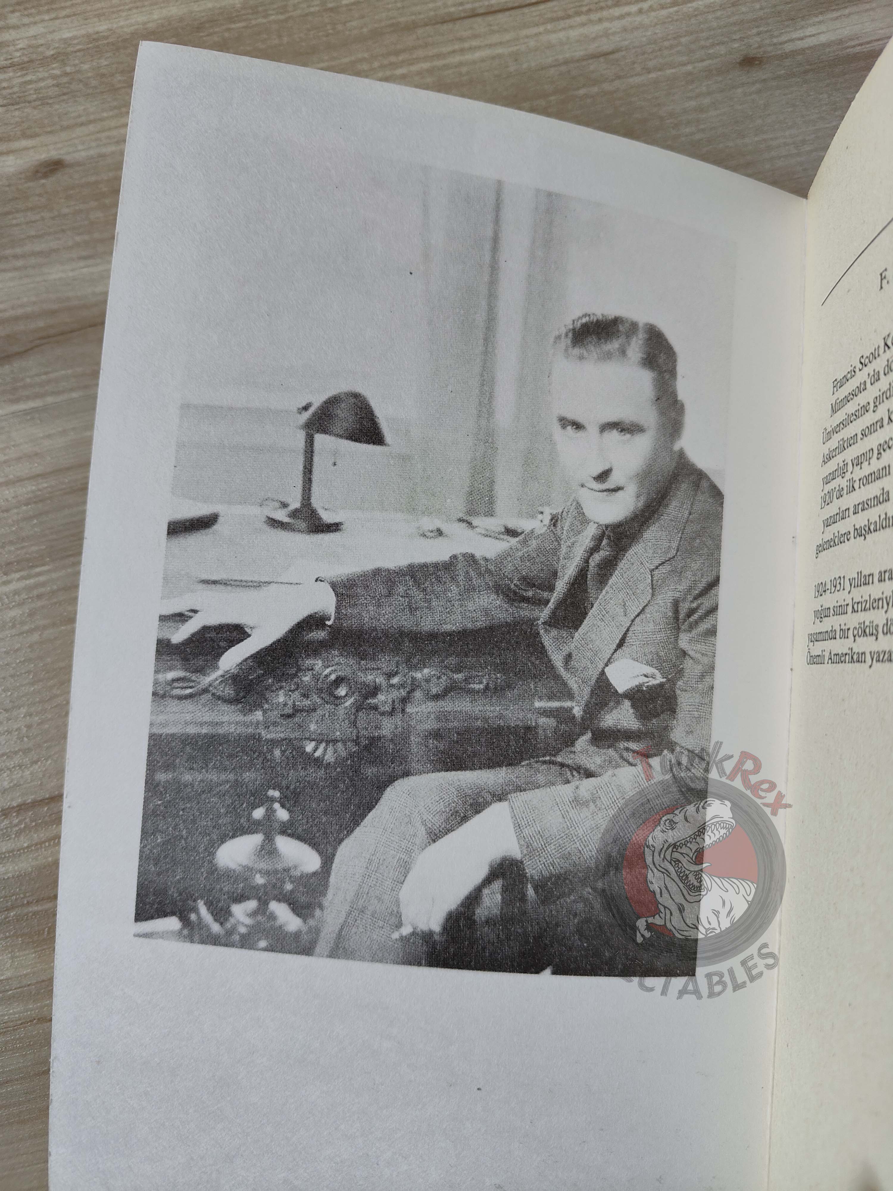 F. Scott Fitzgerald   – May Day / Tales of the Jazz Age Turkish Book Turkey