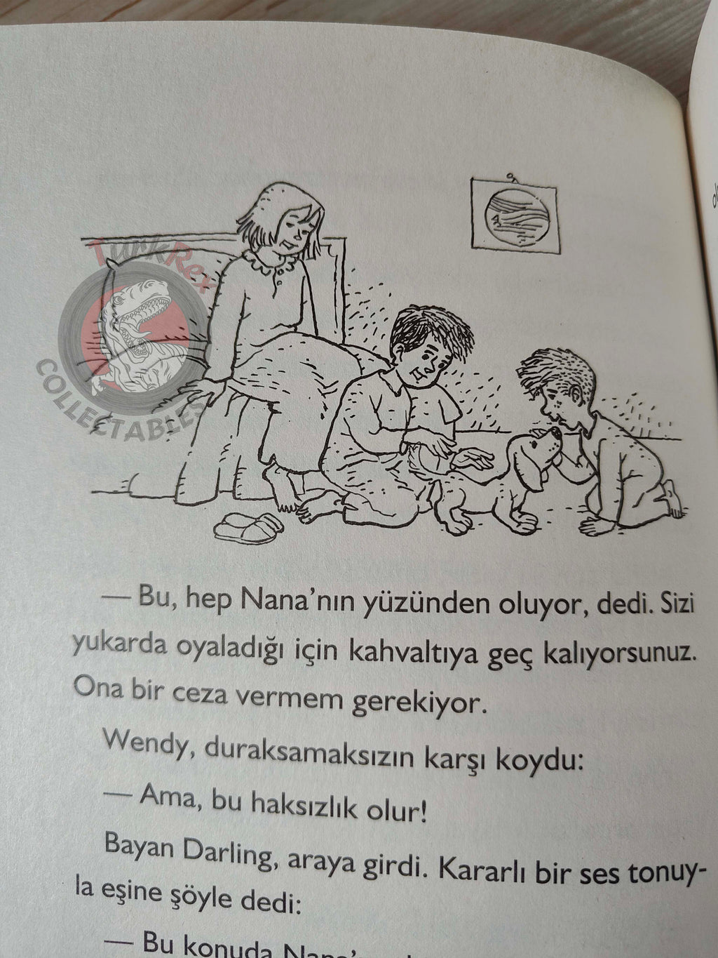 J. M. Barrie – Peter Pan 2011 Turkish Book Turkey Illustrated 4