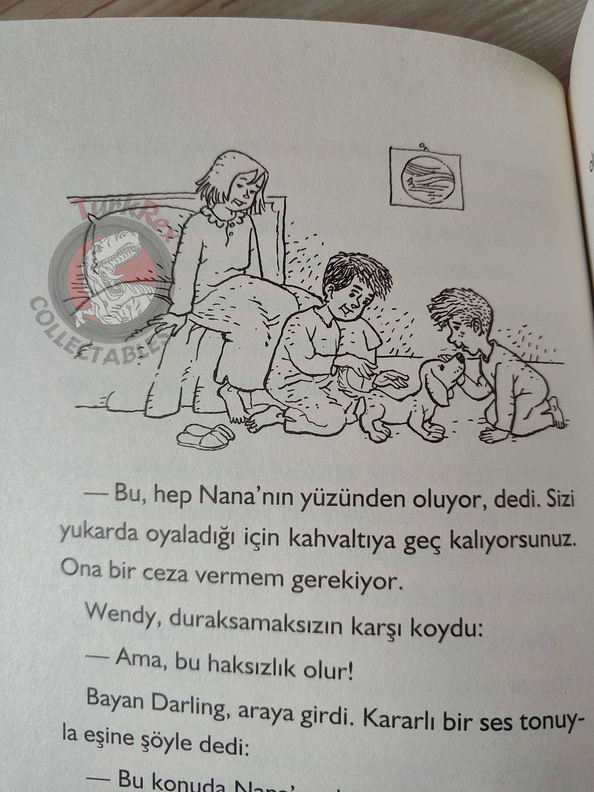 J. M. Barrie – Peter Pan 2011 Turkish Book Turkey Illustrated 4
