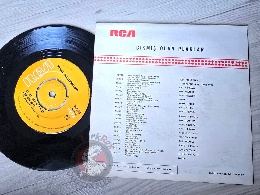 Hugo Montenegro – Na-Na Hey Hey Kiss Him Good-Bye 7" Turkish Pressing Vinyl Turkey Edition