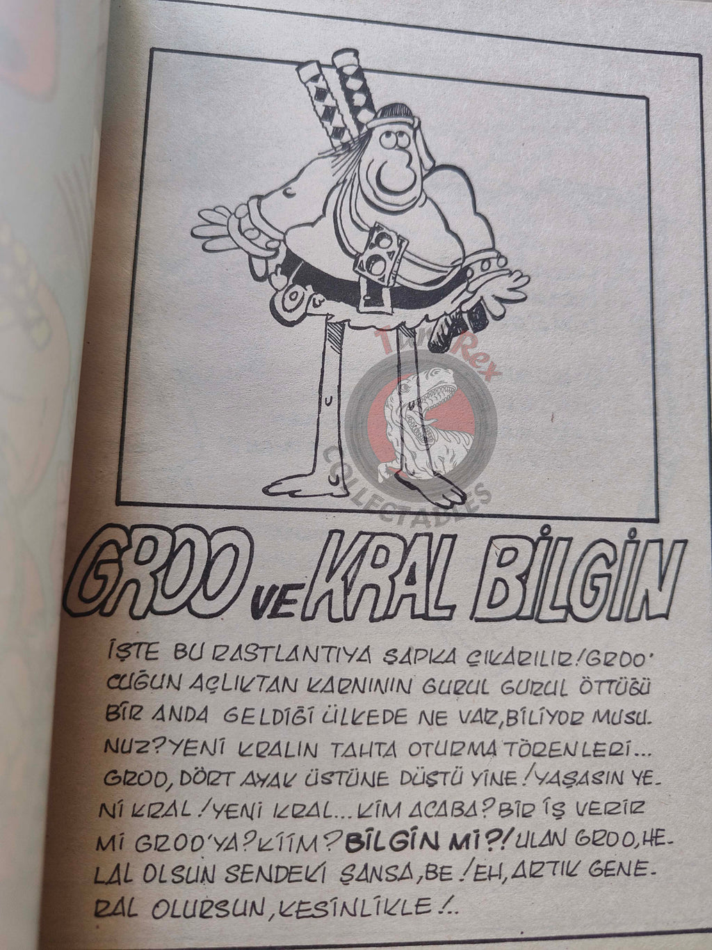 Groo the Wanderer #7 1989 Turkish Comic Turkey cover #13