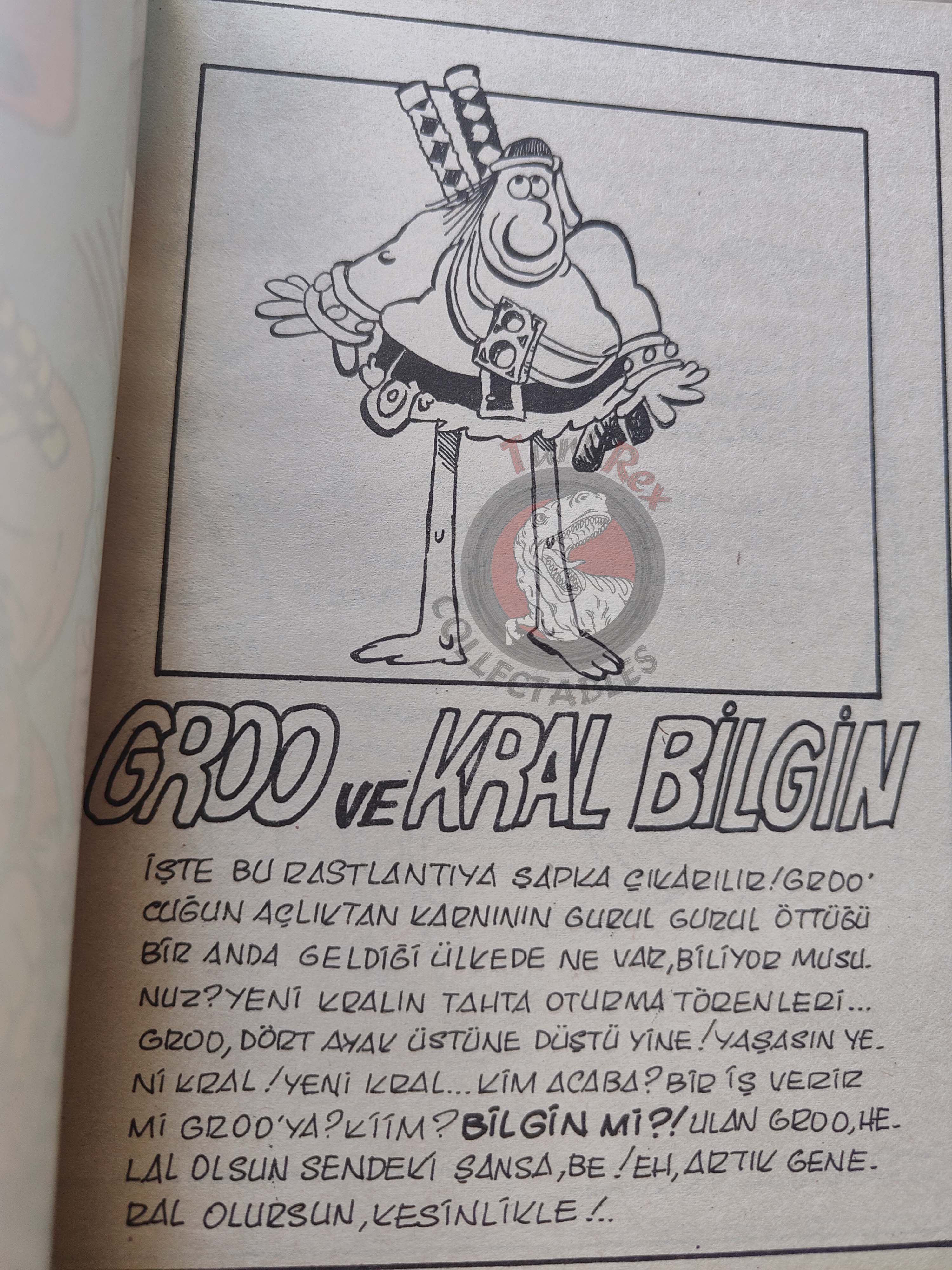 Groo the Wanderer #7 1989 Turkish Comic Turkey cover #13