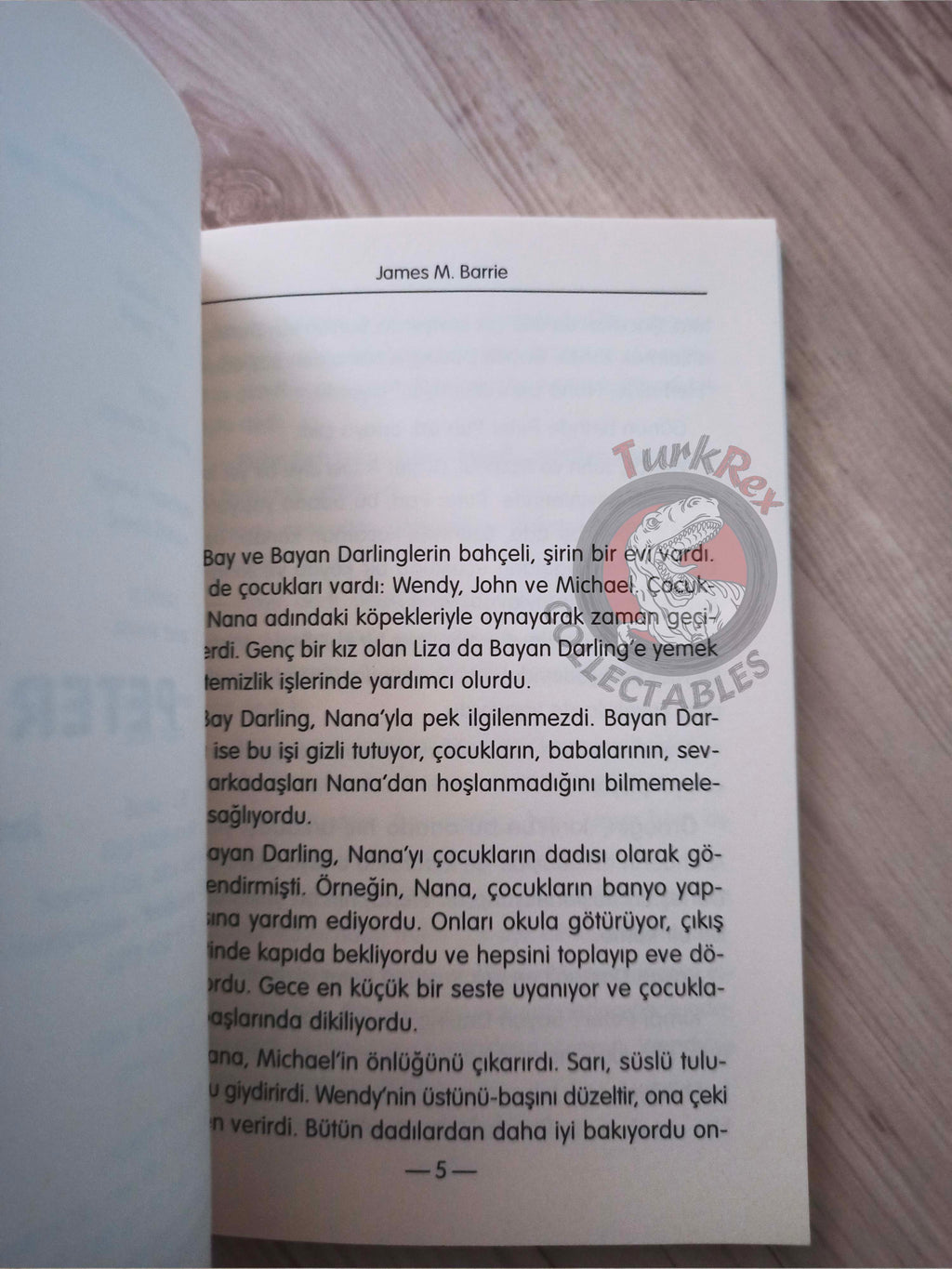 J. M. Barrie – Peter Pan 2011 Turkish Book Turkey 3