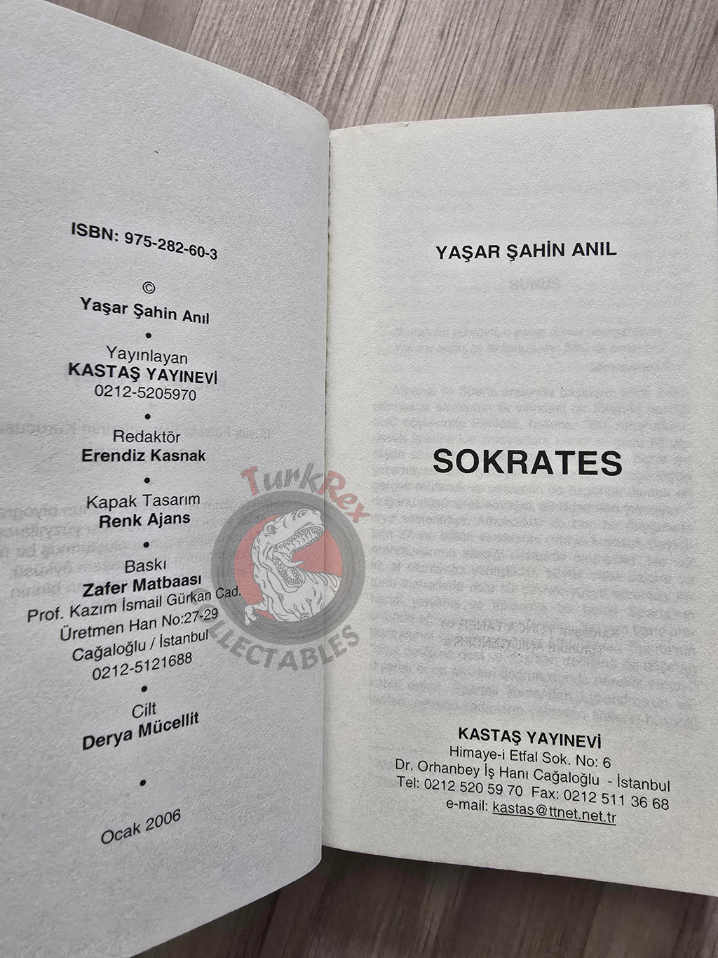 Socrates Biography 2006 Turkish Book Turkey
