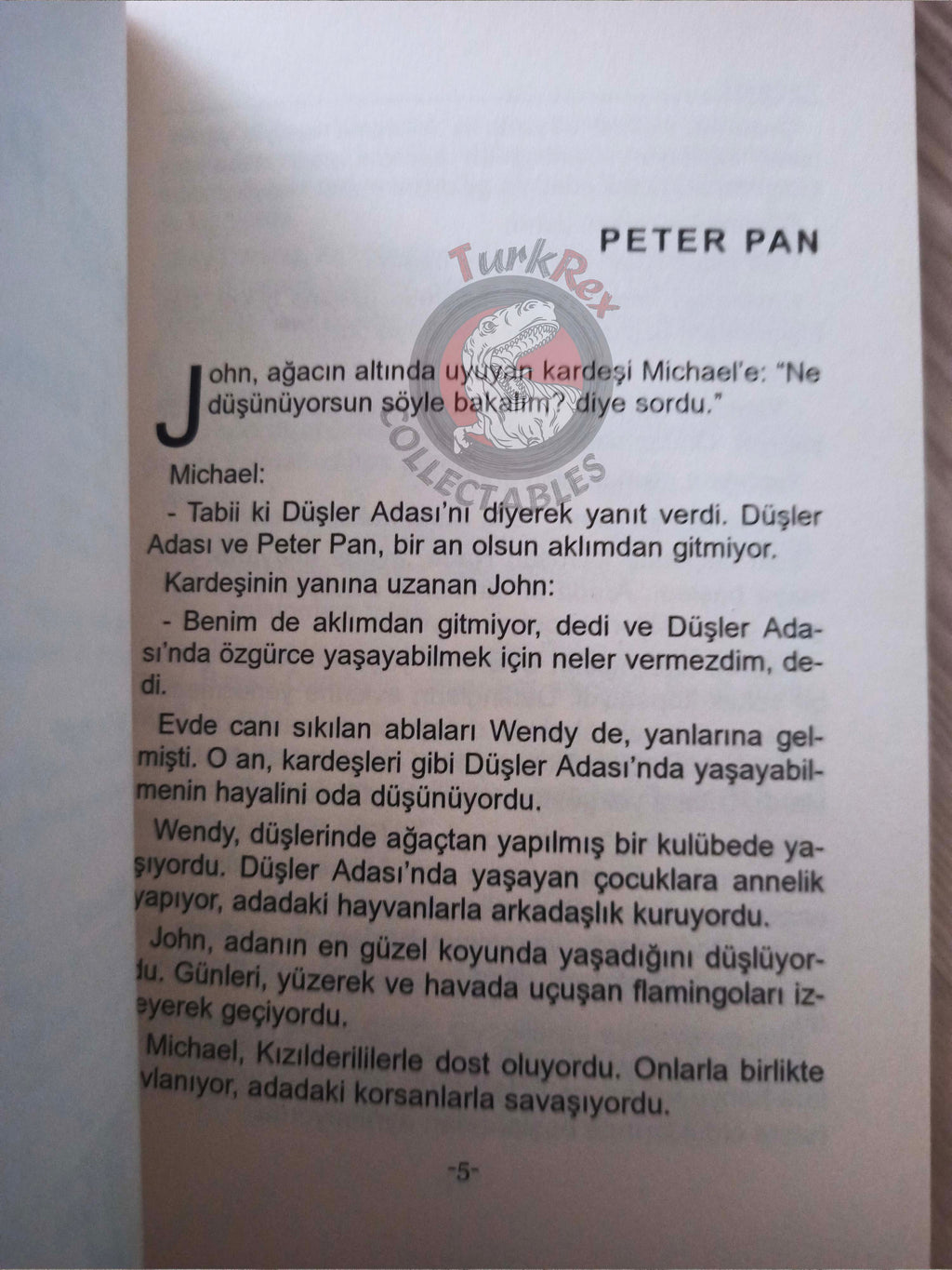 J. M. Barrie – Peter Pan 2011 Turkish Book Turkey Illustrated 2