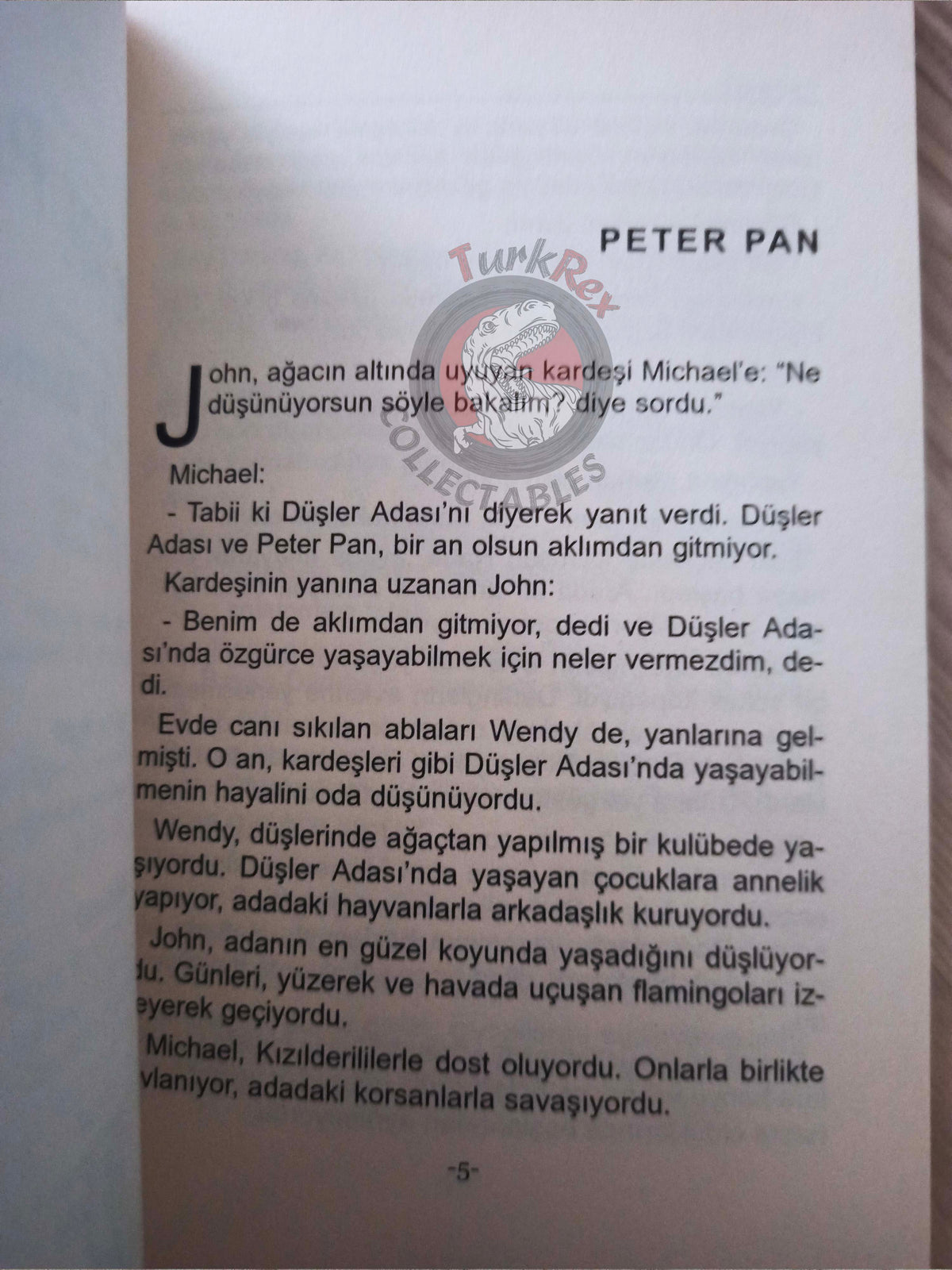J. M. Barrie – Peter Pan 2011 Turkish Book Turkey Illustrated 2